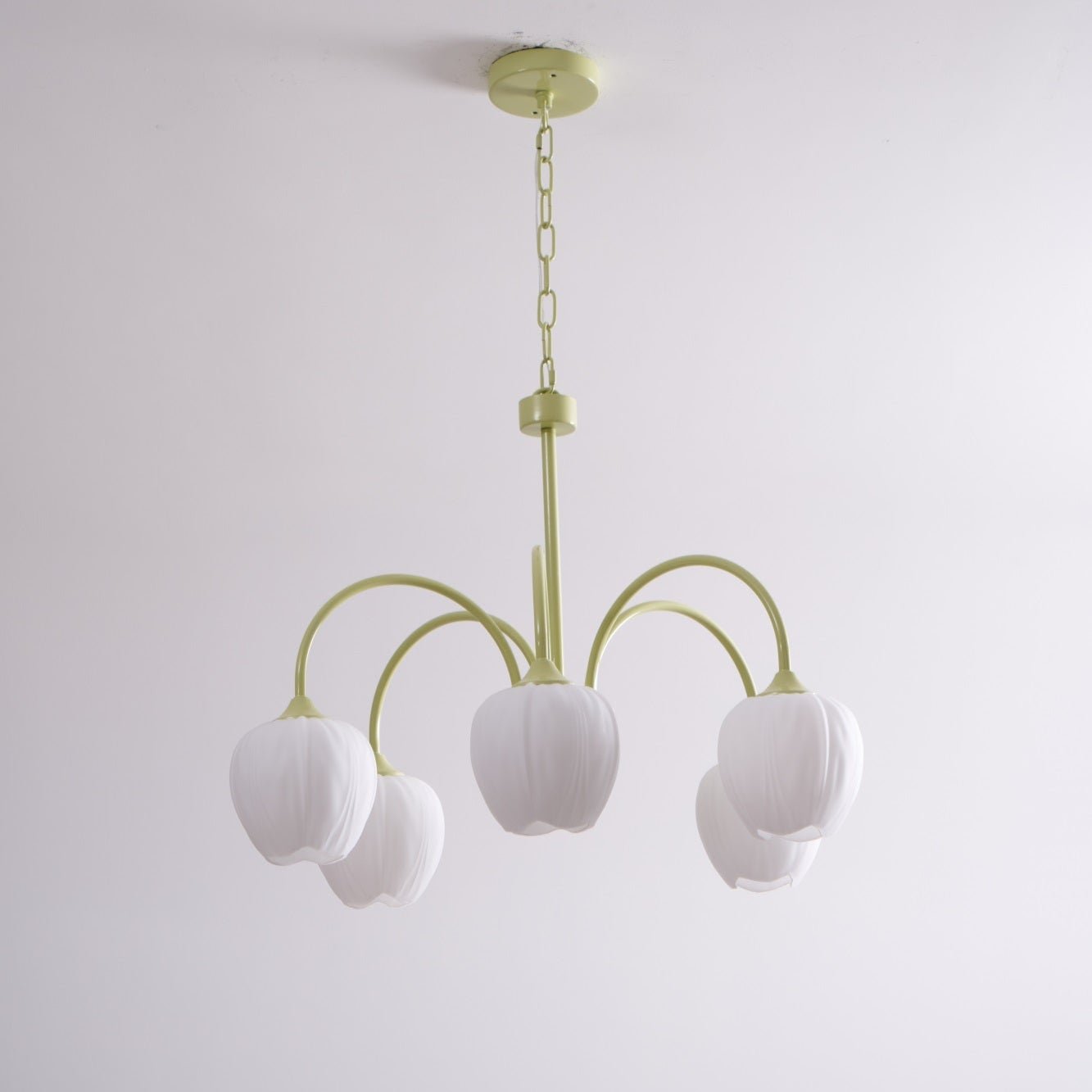 Aria Lampadari a Forma di Tulipano Fresco