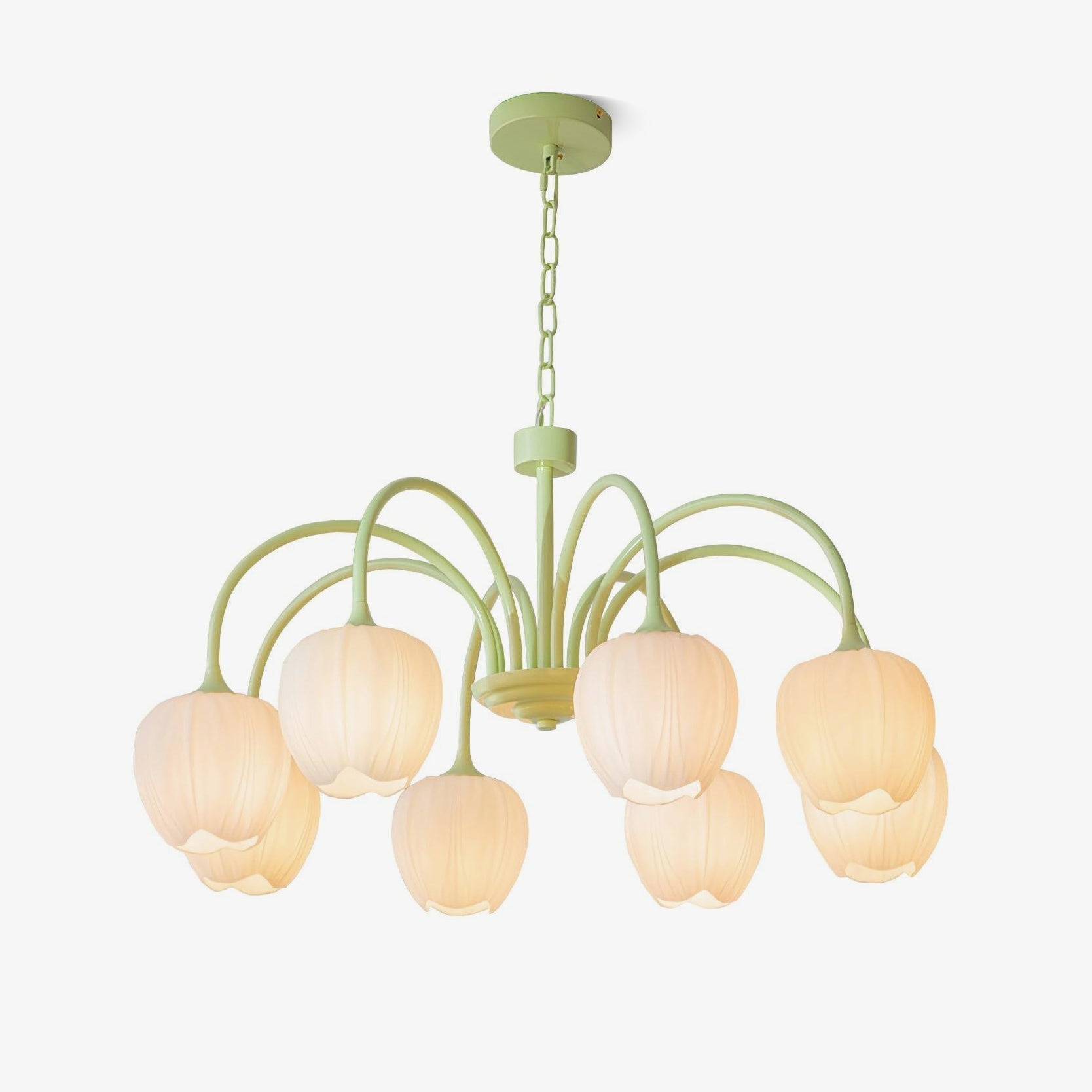 Aria Lampadari a Forma di Tulipano Fresco