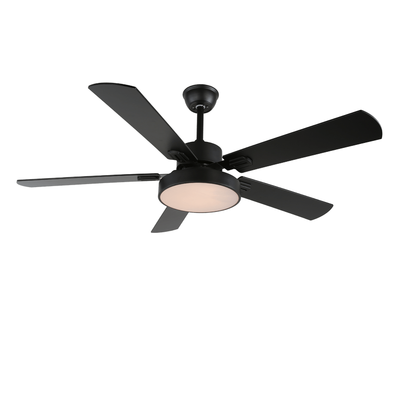 Telecomando portatile per il ventilatore da soffitto Aerilux moderno in legno.
