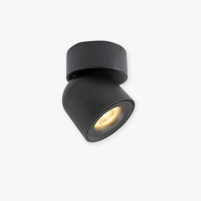 Arisha Moderna LED Classico Plafoniera Nera/Bianca Metallo Piccolo Soggiorno/Camera da Letto/Corridoio