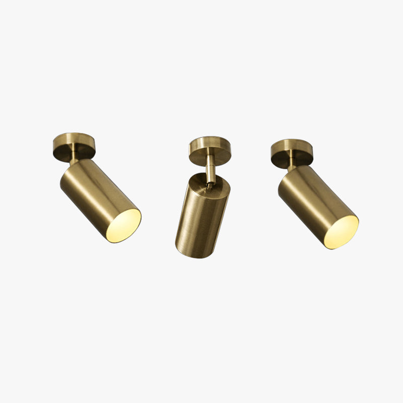 Arisha Moderna lED Piccolo Applique/Plafoniere Metallo Ora Cilindro Soggiorno/Camera da Letto