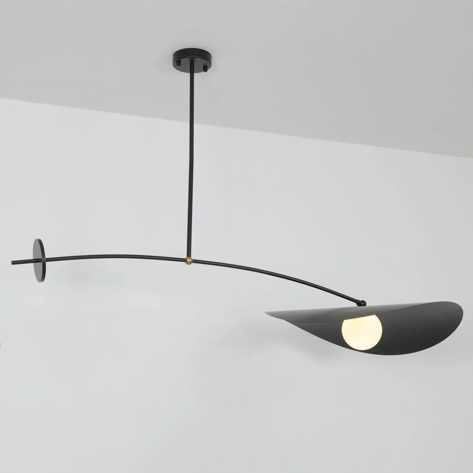 Arcflow Dynamic Metal Curve Pendant Light - Blowlighting