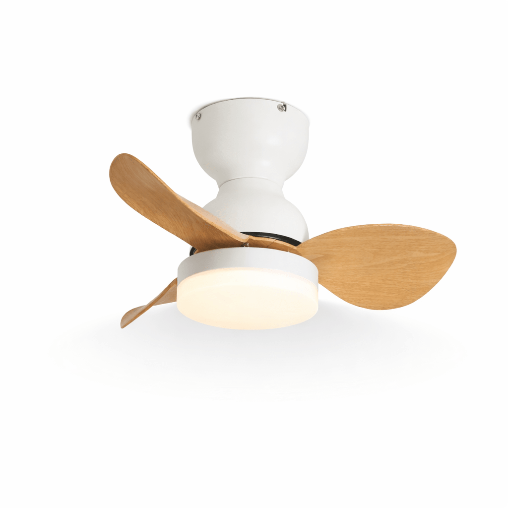 Imballaggio del ventilatore da soffitto con luce Silas