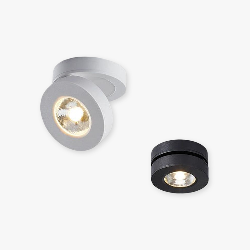 Arisha Moderna LED Rotonda Piccolo Metallo Plafoniera Bianco/Nero Corridoio/Soggiorno/Camera da Letto