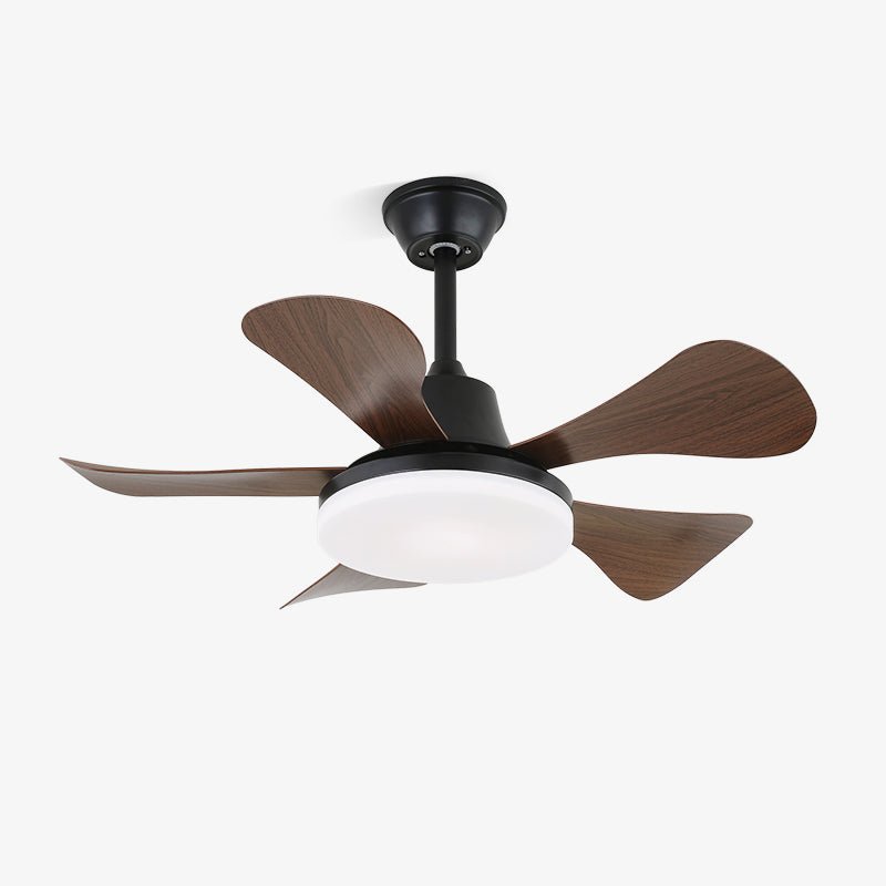 Ventilatore da soffitto Aurefan in legno con pale in noce e struttura in metallo