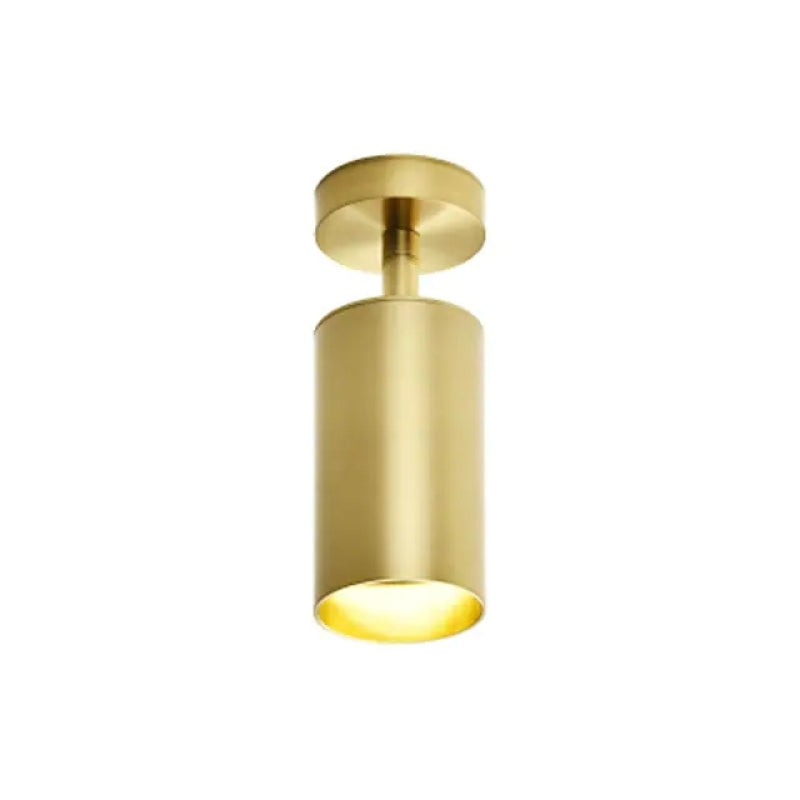 Arisha Moderna lED Piccolo Applique/Plafoniere Metallo Ora Cilindro Soggiorno/Camera da Letto