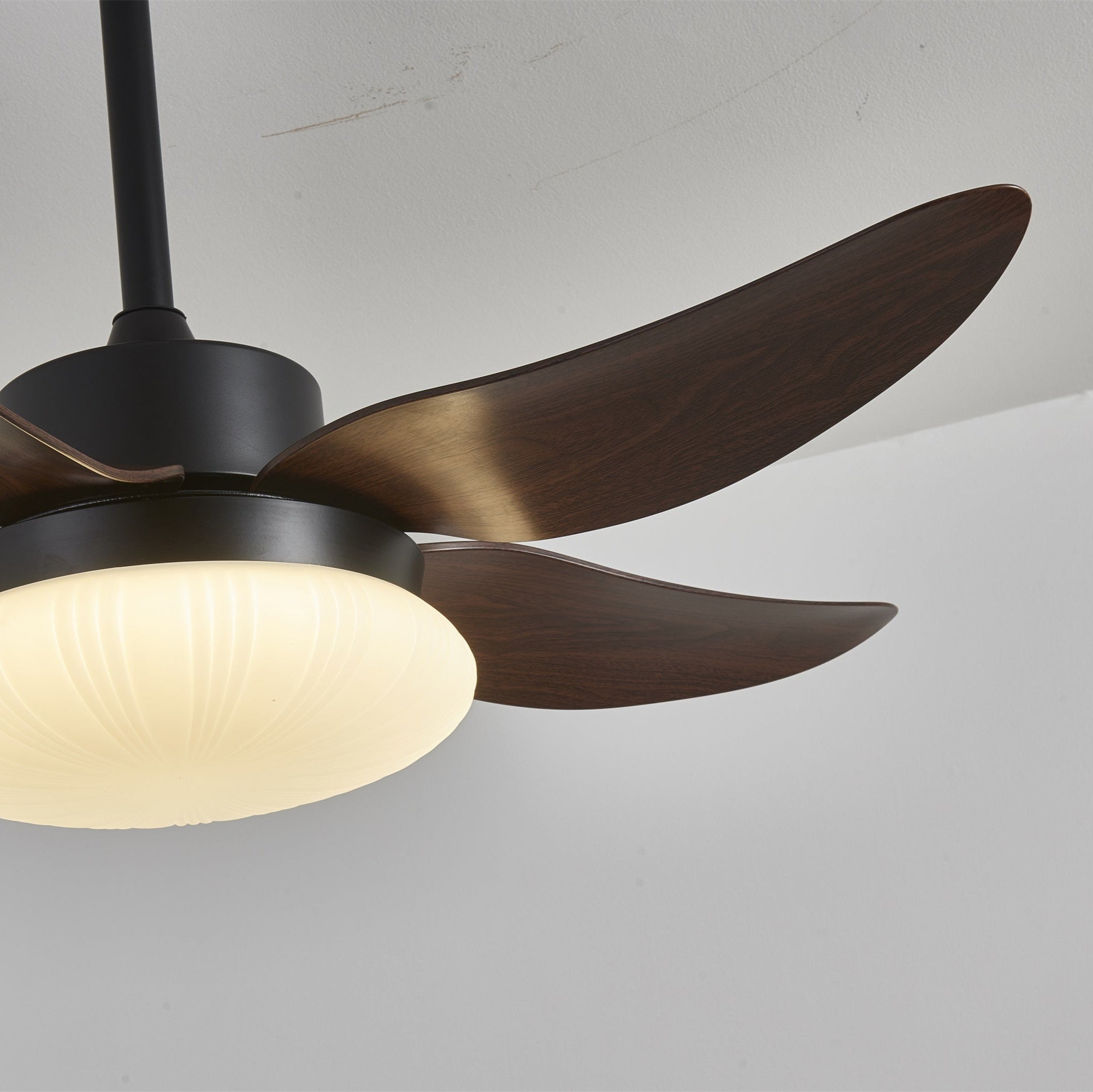Ventilatore da soffitto Zerith con luce, schema delle dimensioni