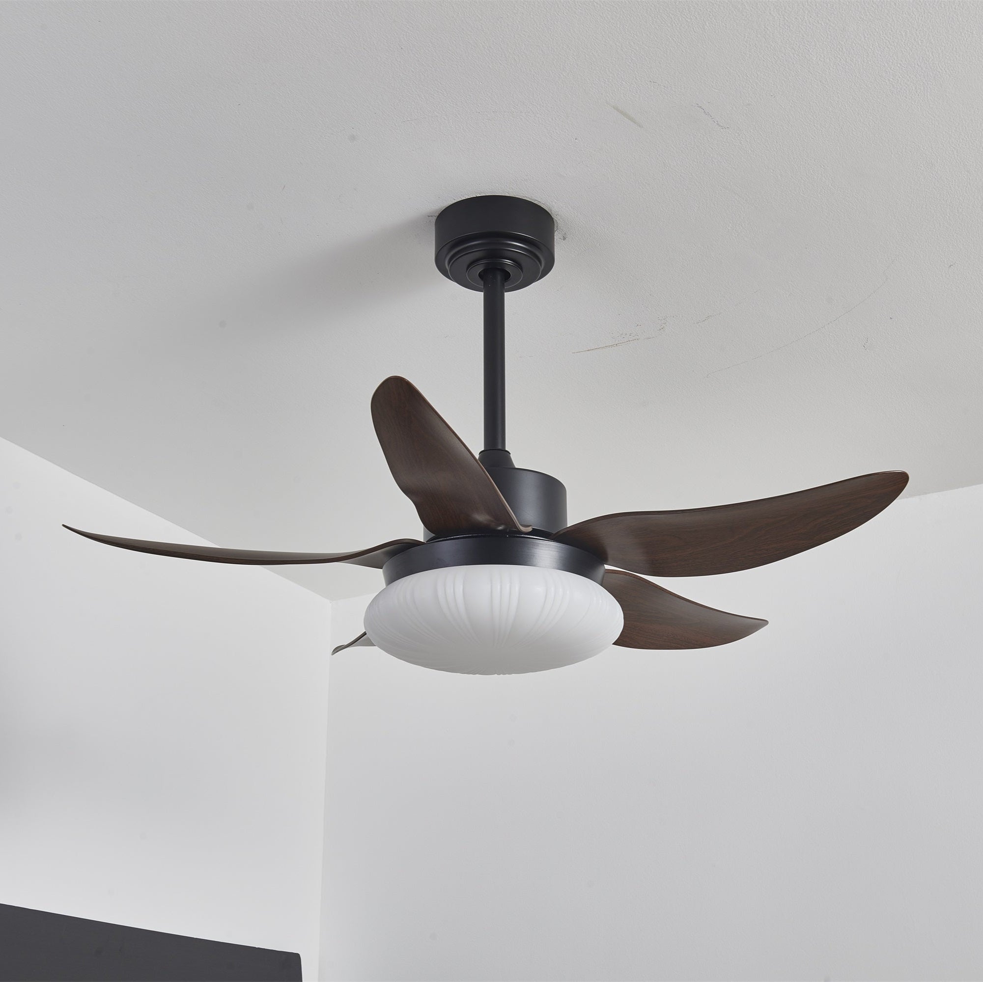 Ventilatore da soffitto Zerith con luce, vista dall'alto delle pale