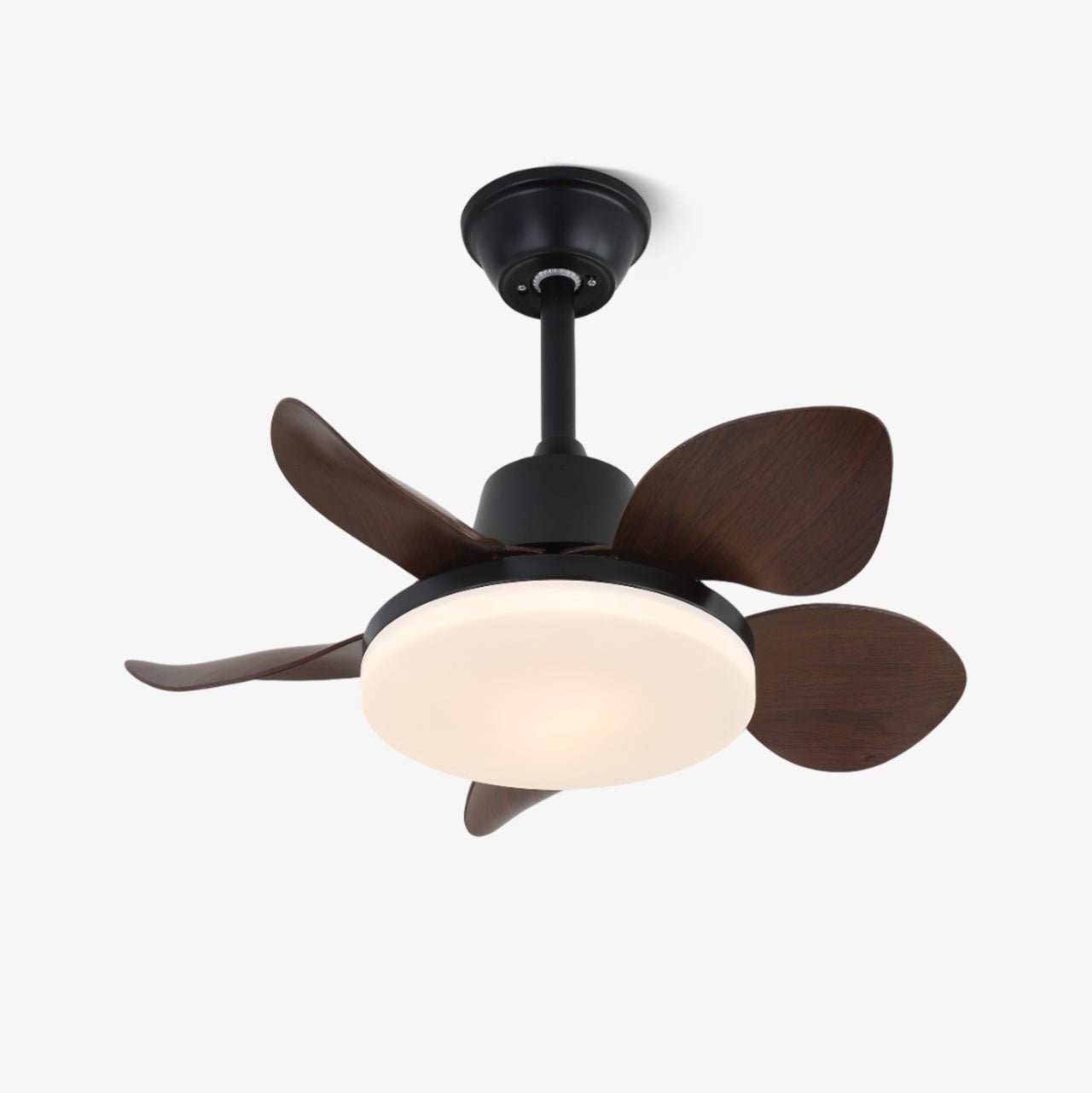 Ventilatore da soffitto Veyra che mostra il suo design moderno e il telecomando