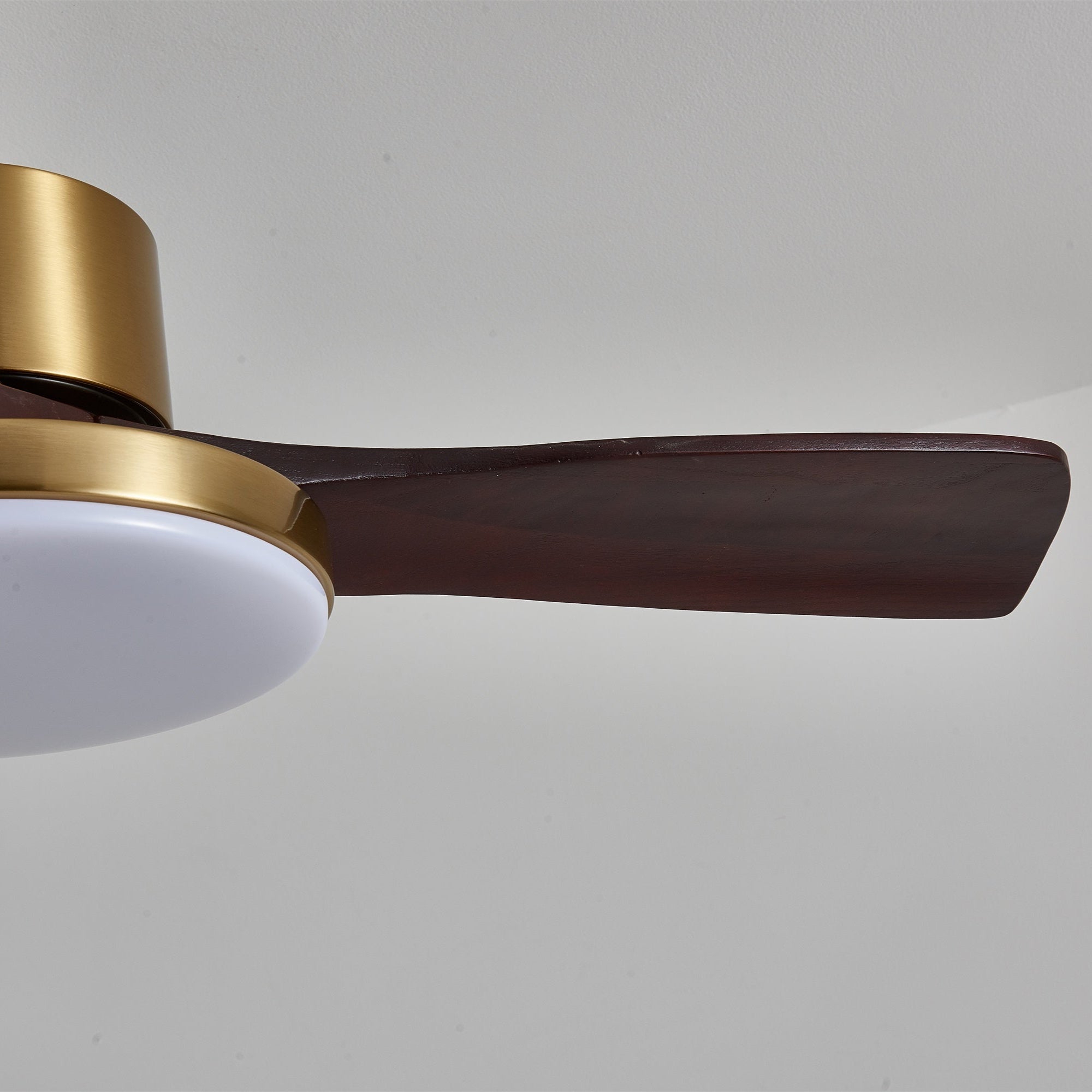 Ventilatore da soffitto Xen con luce, vista dall'alto