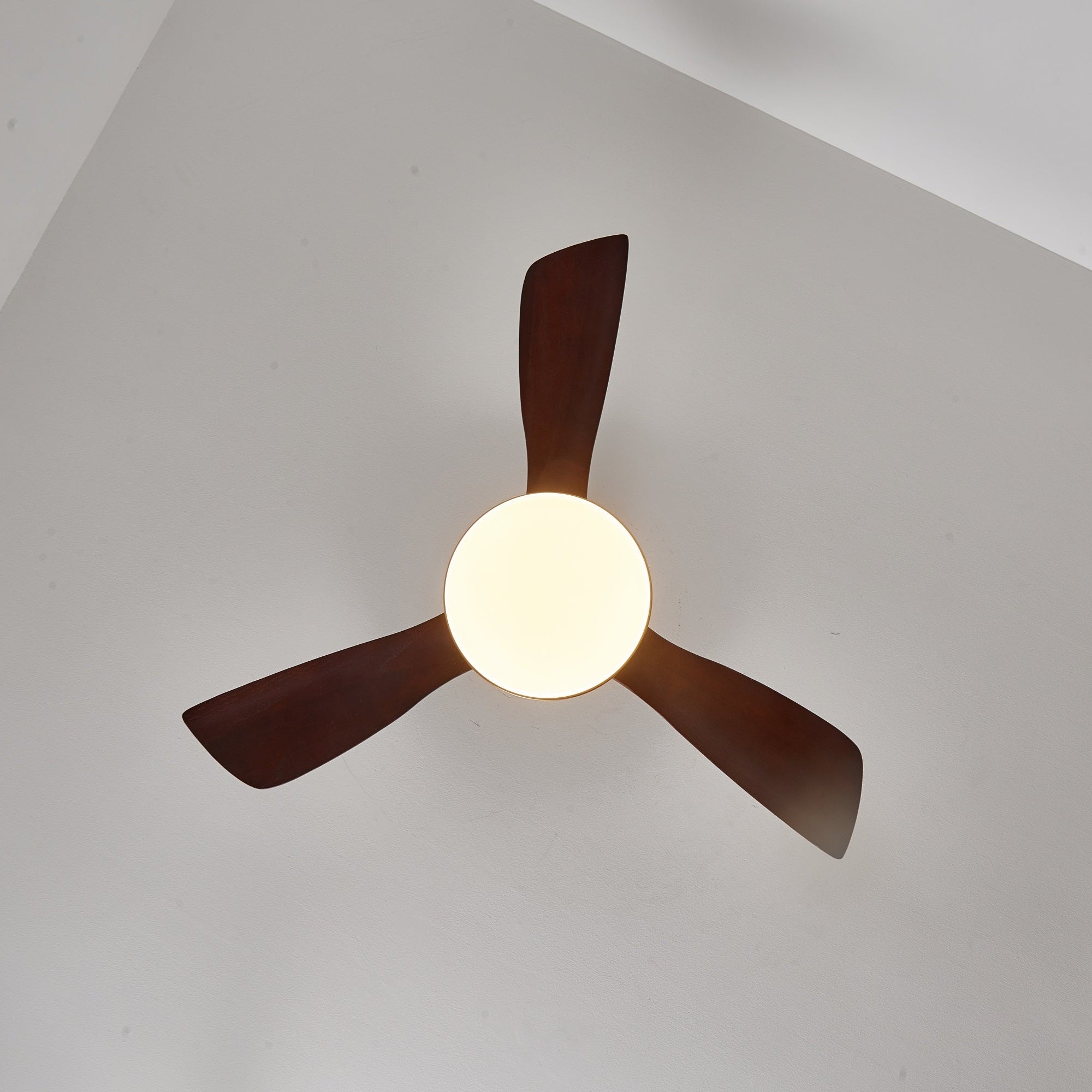 Ventilatore da soffitto Xen con luce, immagine ambientata