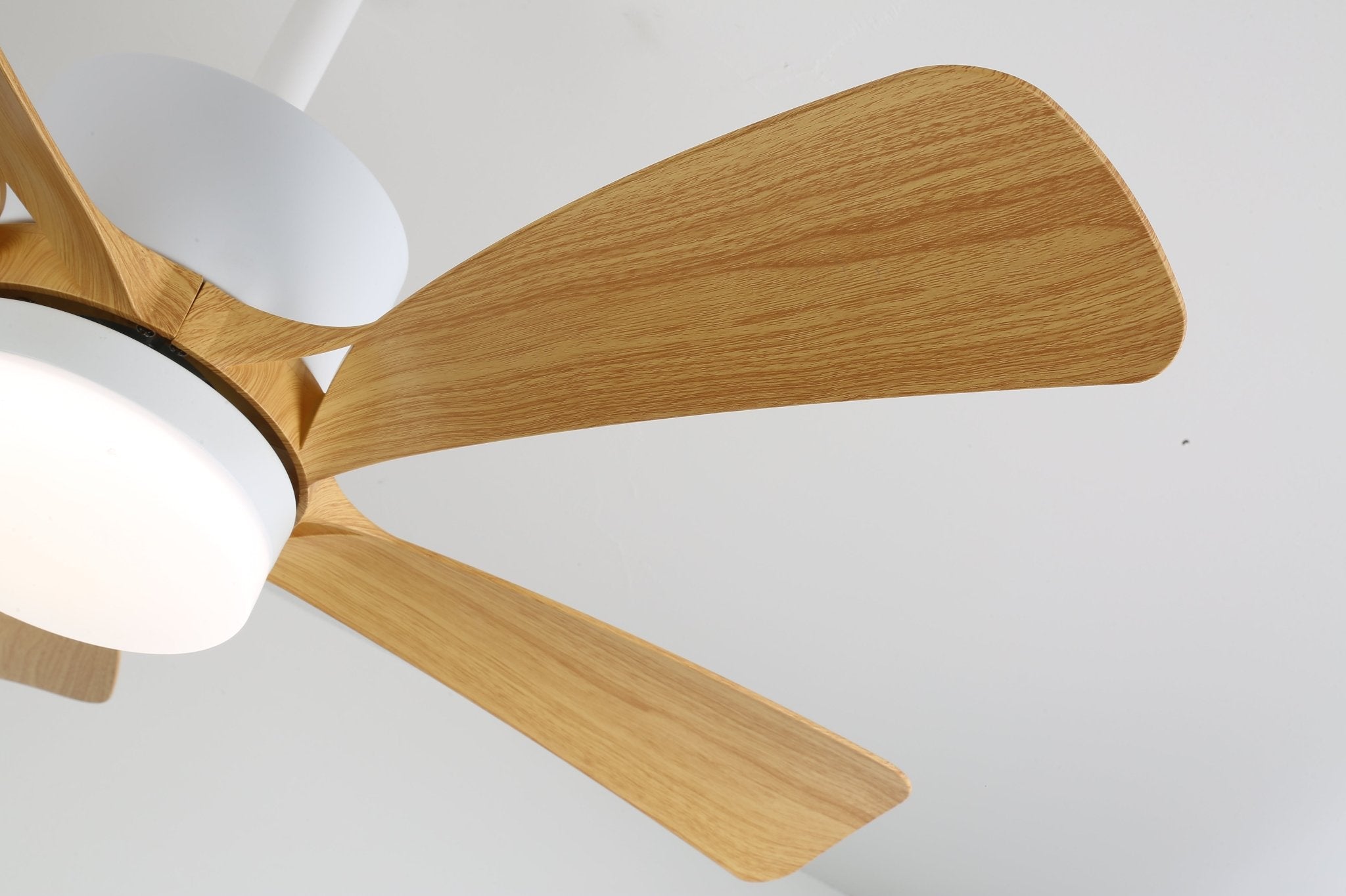 Vista dall'alto del ventilatore da soffitto moderno Sylven