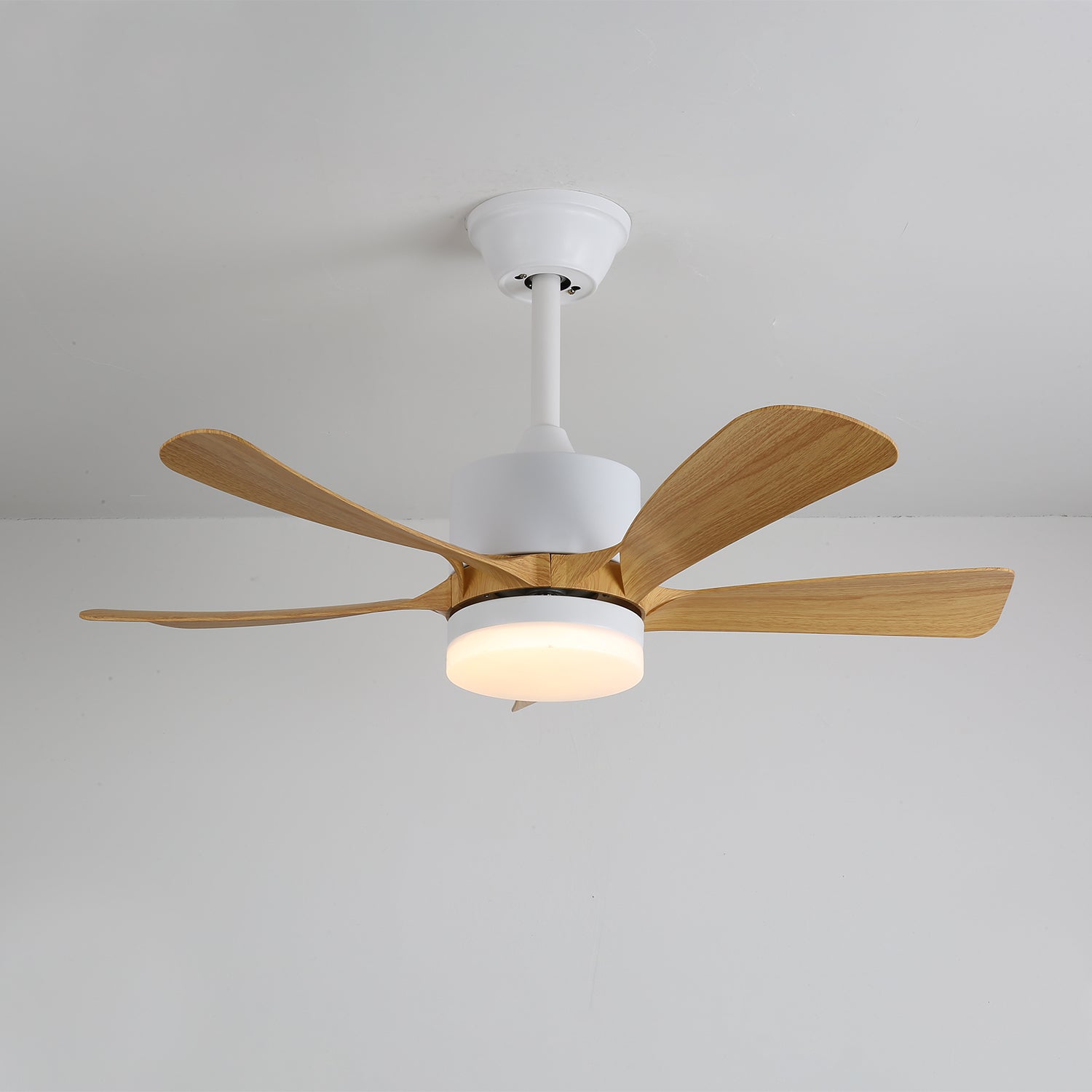 Primo piano della luce LED integrata del ventilatore da soffitto moderno Sylven