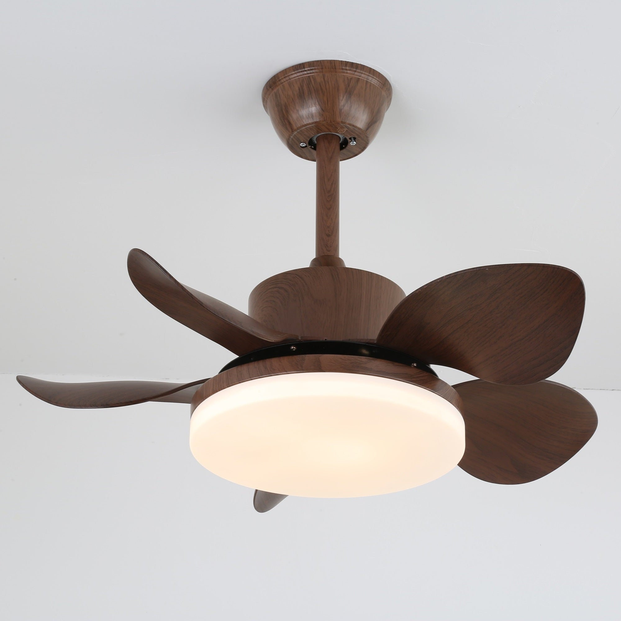Ventilatore da soffitto Alenya con luce installato su un soffitto bianco