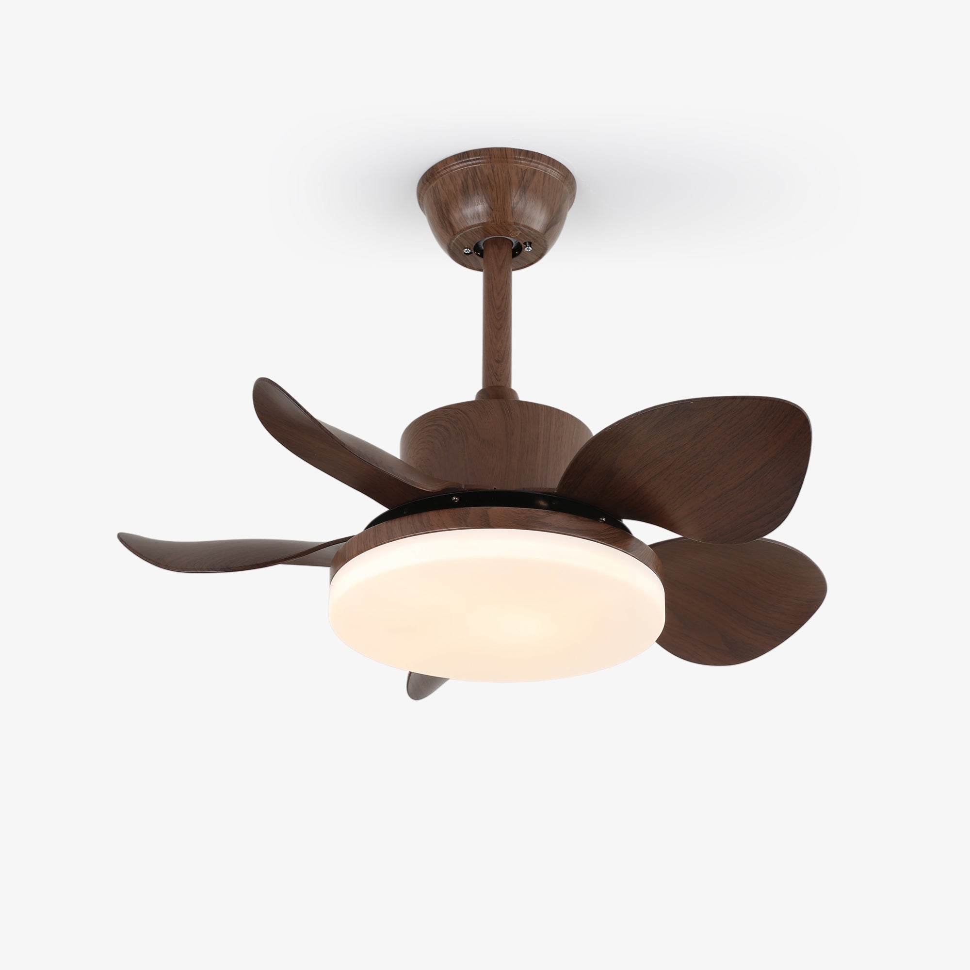 Ventilatore da soffitto Alenya in legno con luce e pale con venature in legno di noce