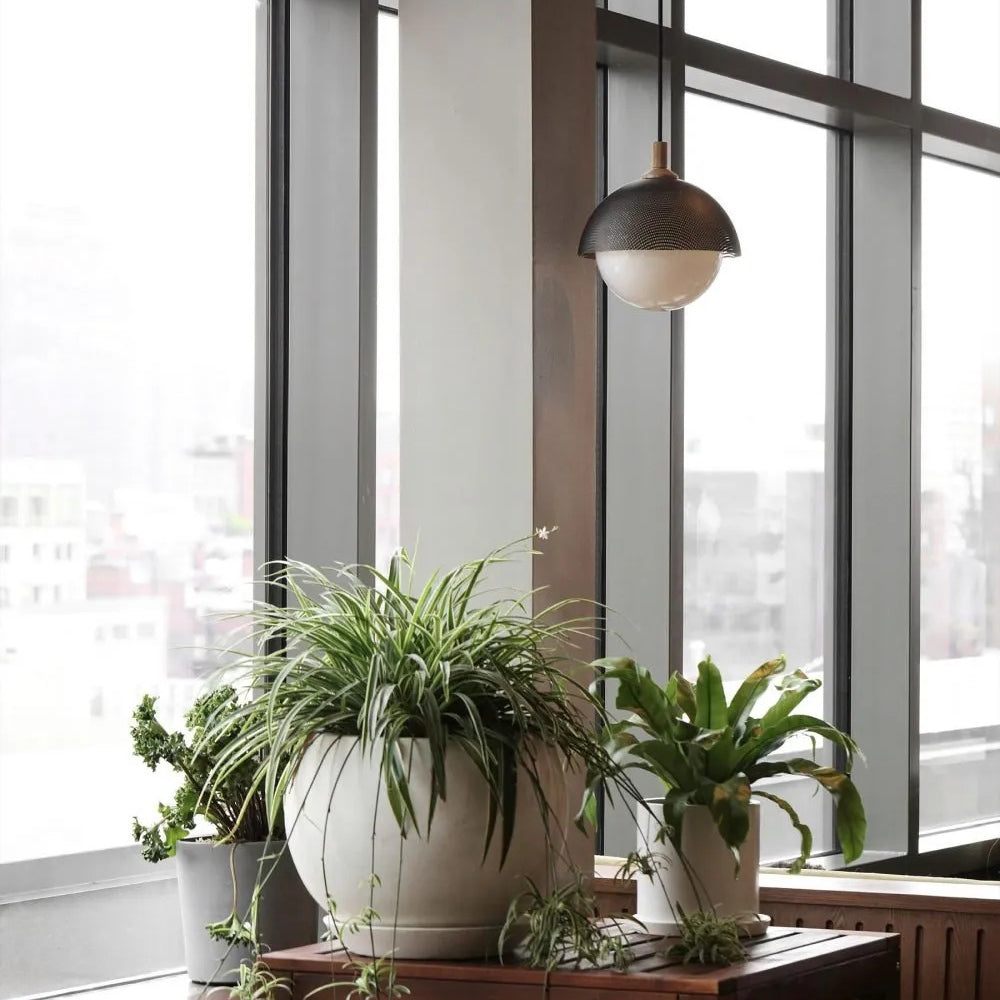 Pith Modern Minimalist Dome Perforated Wooden Metal Pendant Lamp - Lamp Copper