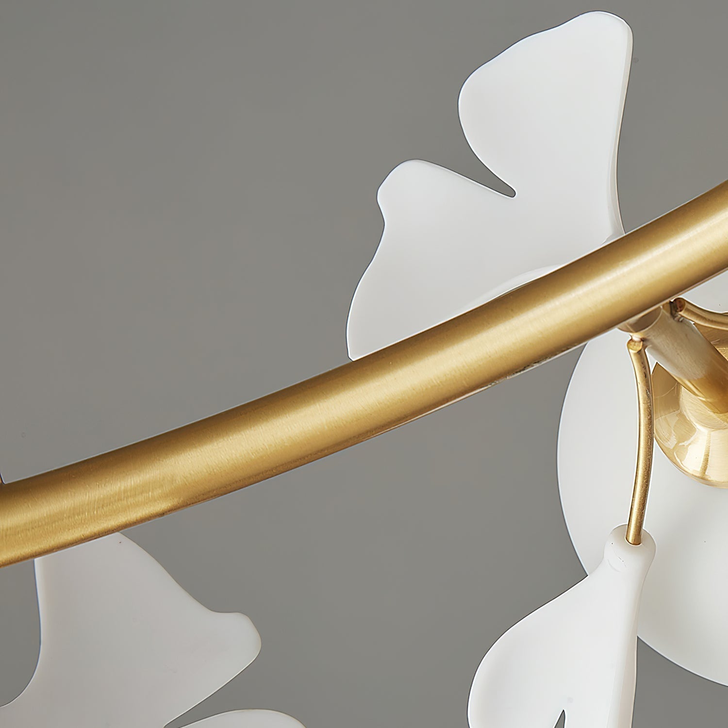 Fidova 8-Light Globe Chandelier - Letslighting