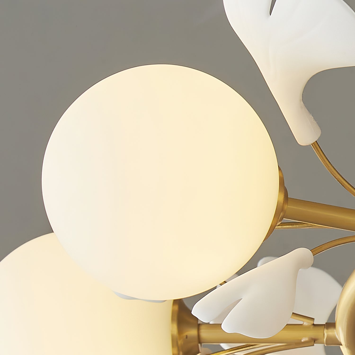 Fidova 8-Light Globe Chandelier - Letslighting
