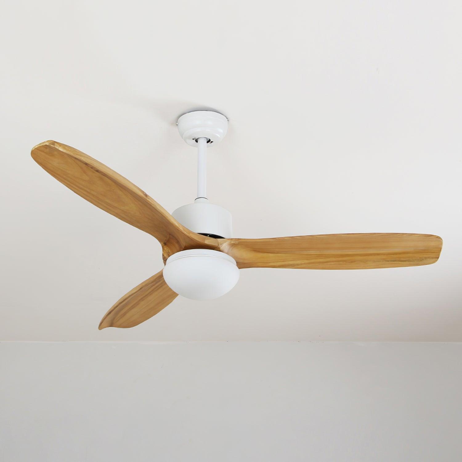 Schema di cablaggio per il ventilatore da soffitto con luce Brivel cablato.