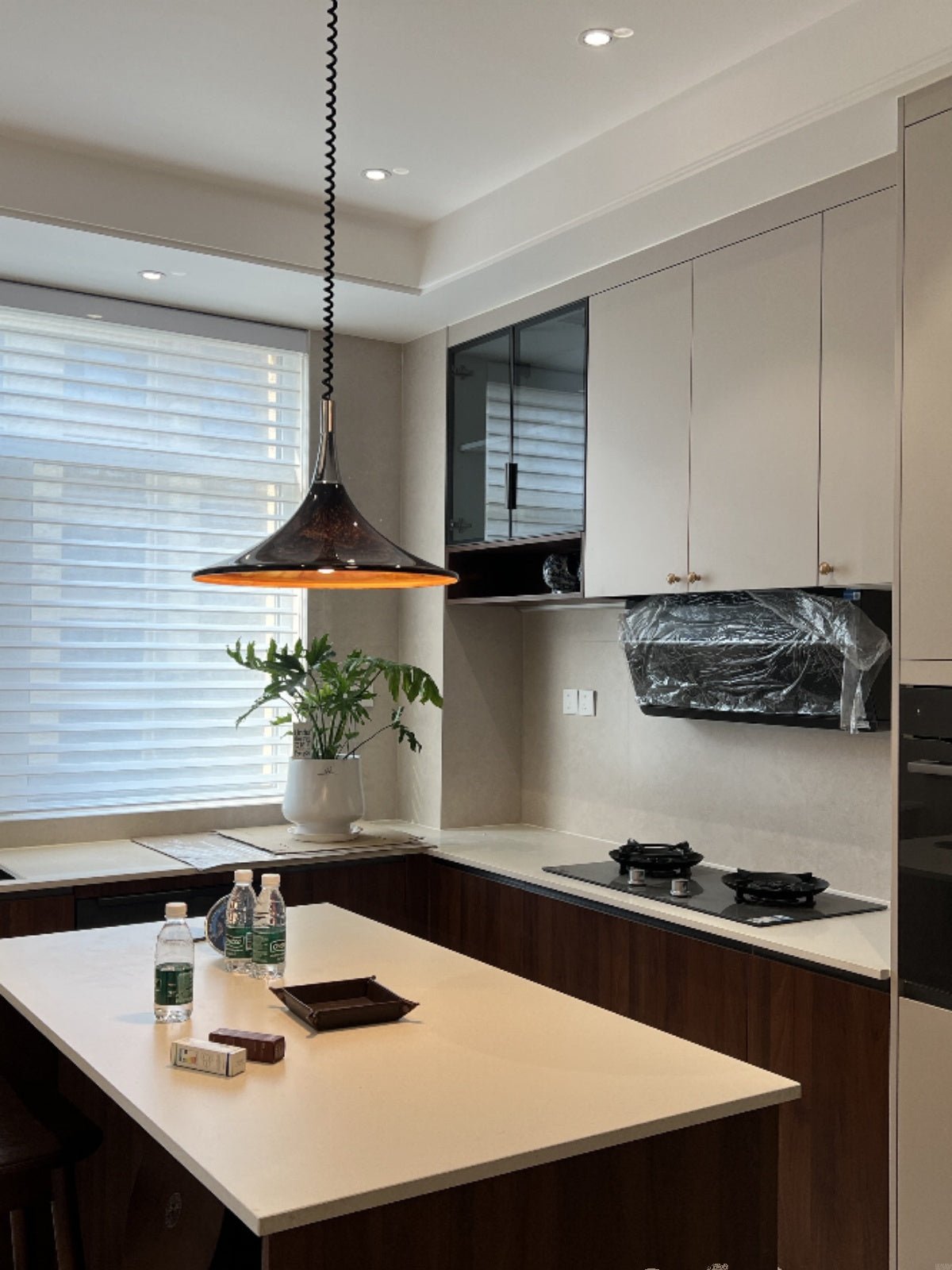 Horn of Light Pendant Lamp - Blowlighting