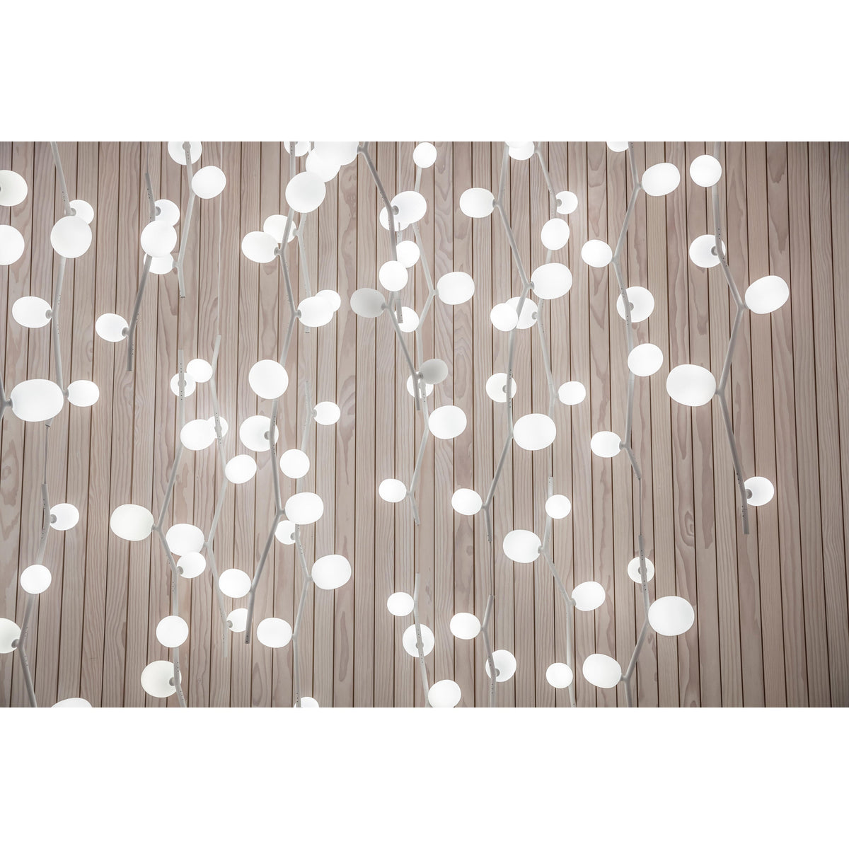 Isolora Modern Minimalist Vertical Glass Pendant Lamp - Lamp Copper