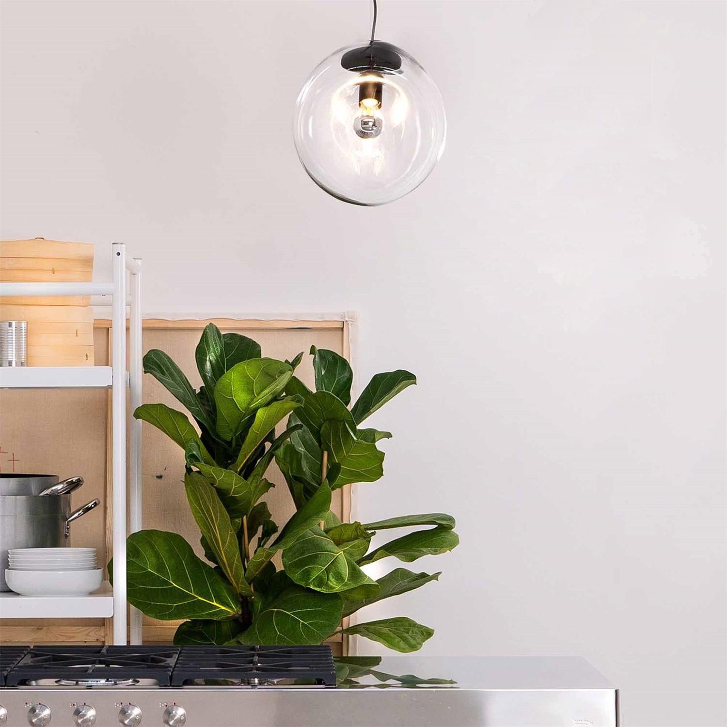 Lymara Modern Minimalist Black Glass Pendant Light - Lamp Copper