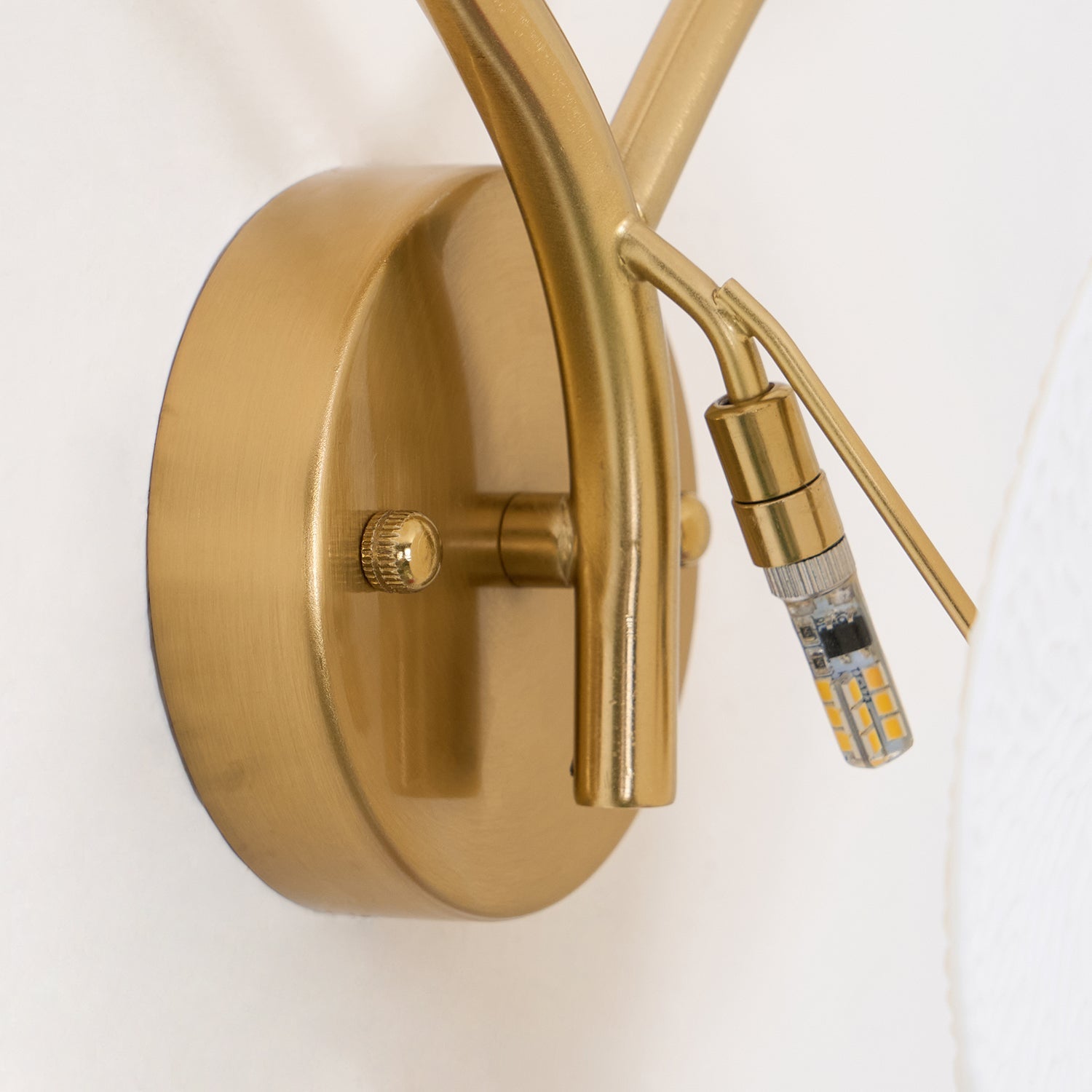 Lotus Petal Wall Lamp - Blowlighting