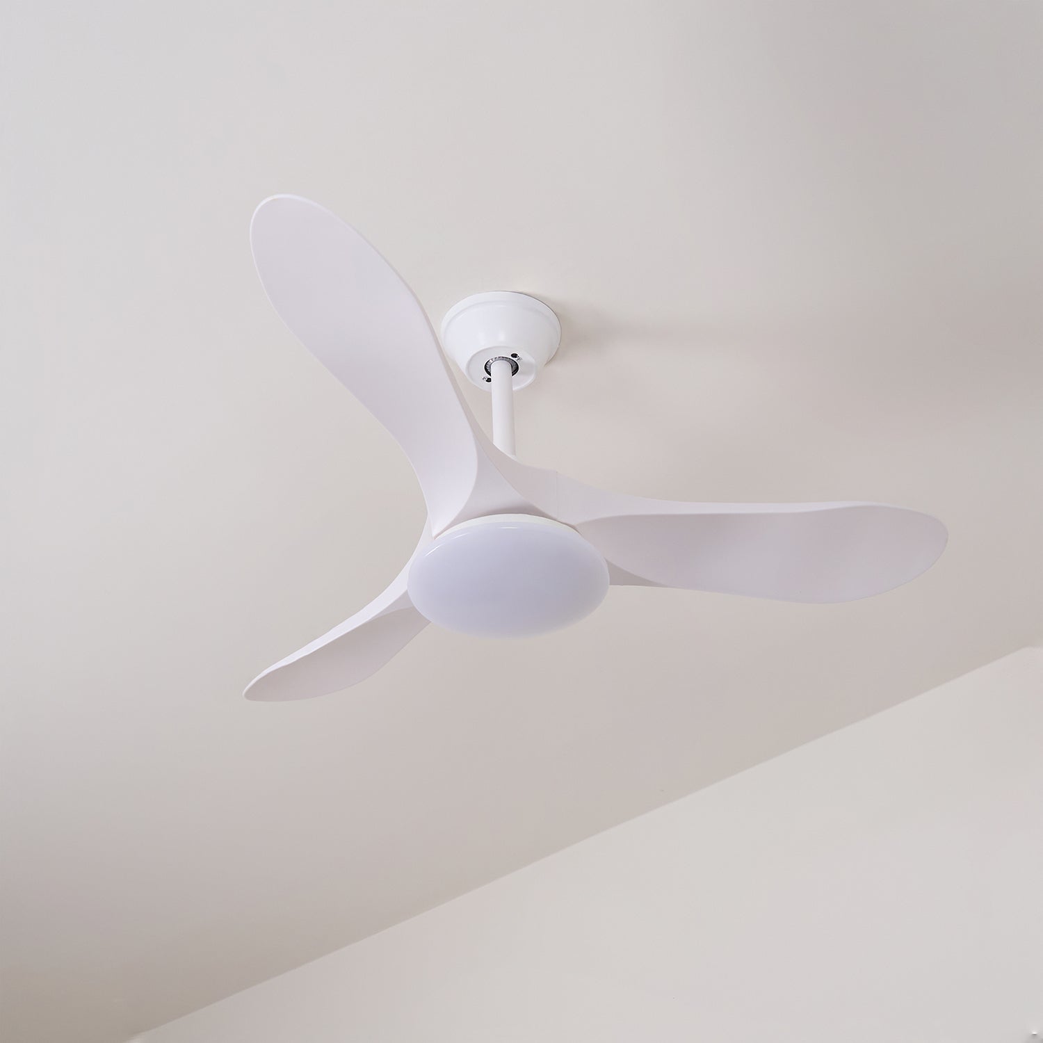 Ventilatore da soffitto moderno Velix in legno con luce con vari campioni di finitura