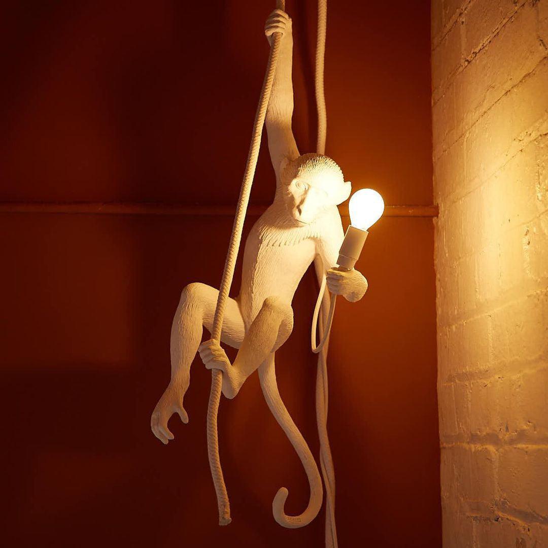 Monkey Pendant Lamp - Blowlighting
