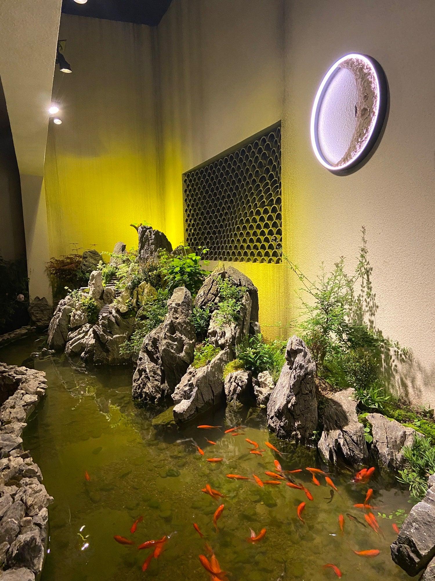 Moon Wall Lamp - Blowlighting