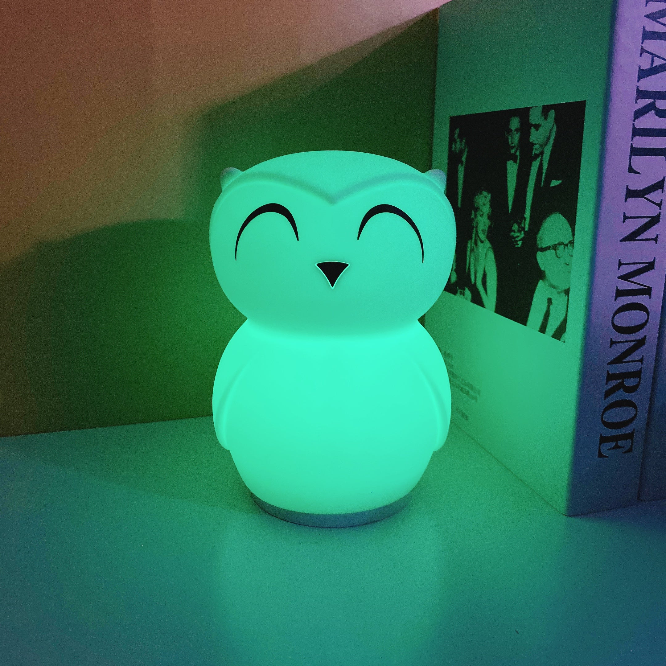 Owl Timing Night Light (built-in battery) - Lamp Copper