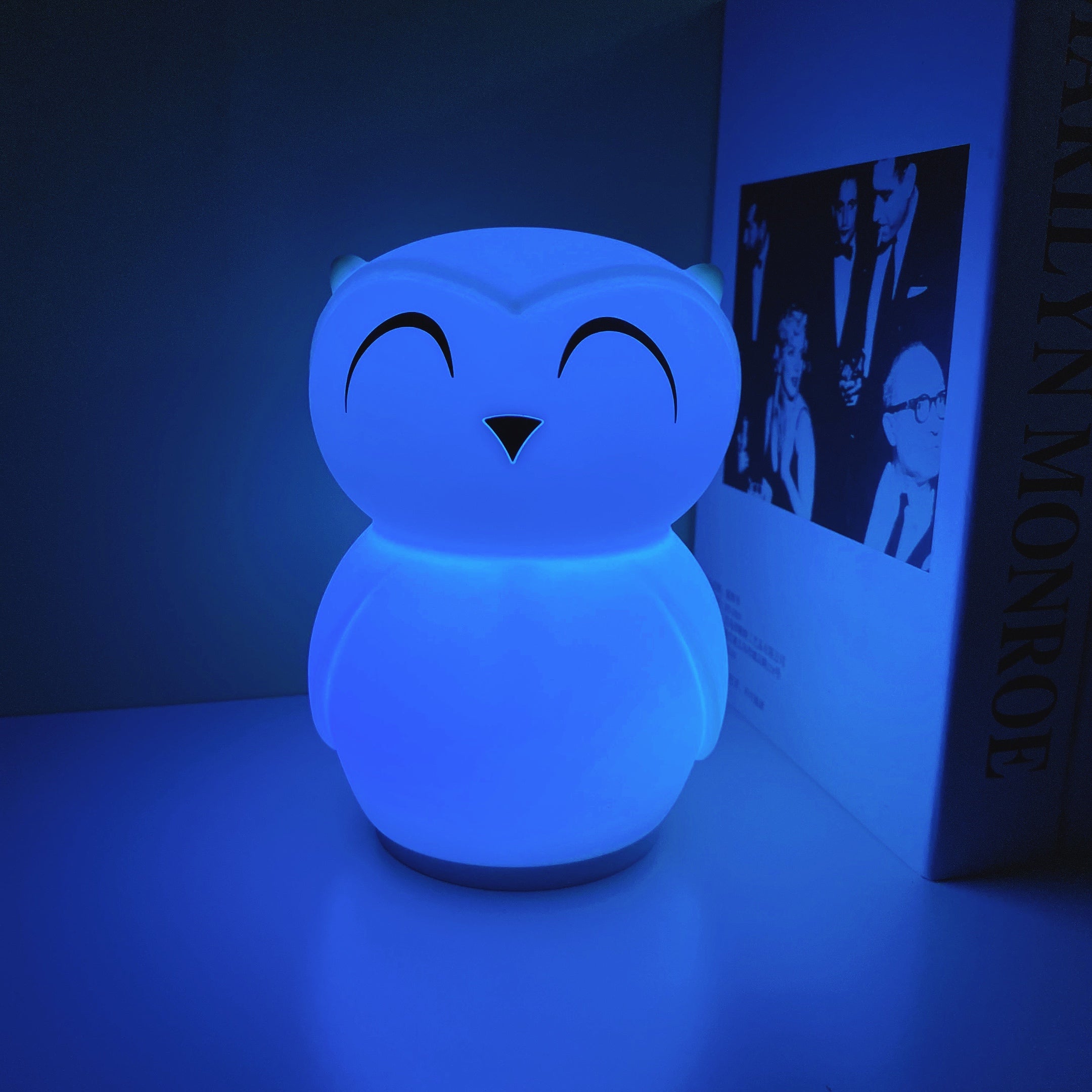 Owl Timing Night Light (built-in battery) - Lamp Copper