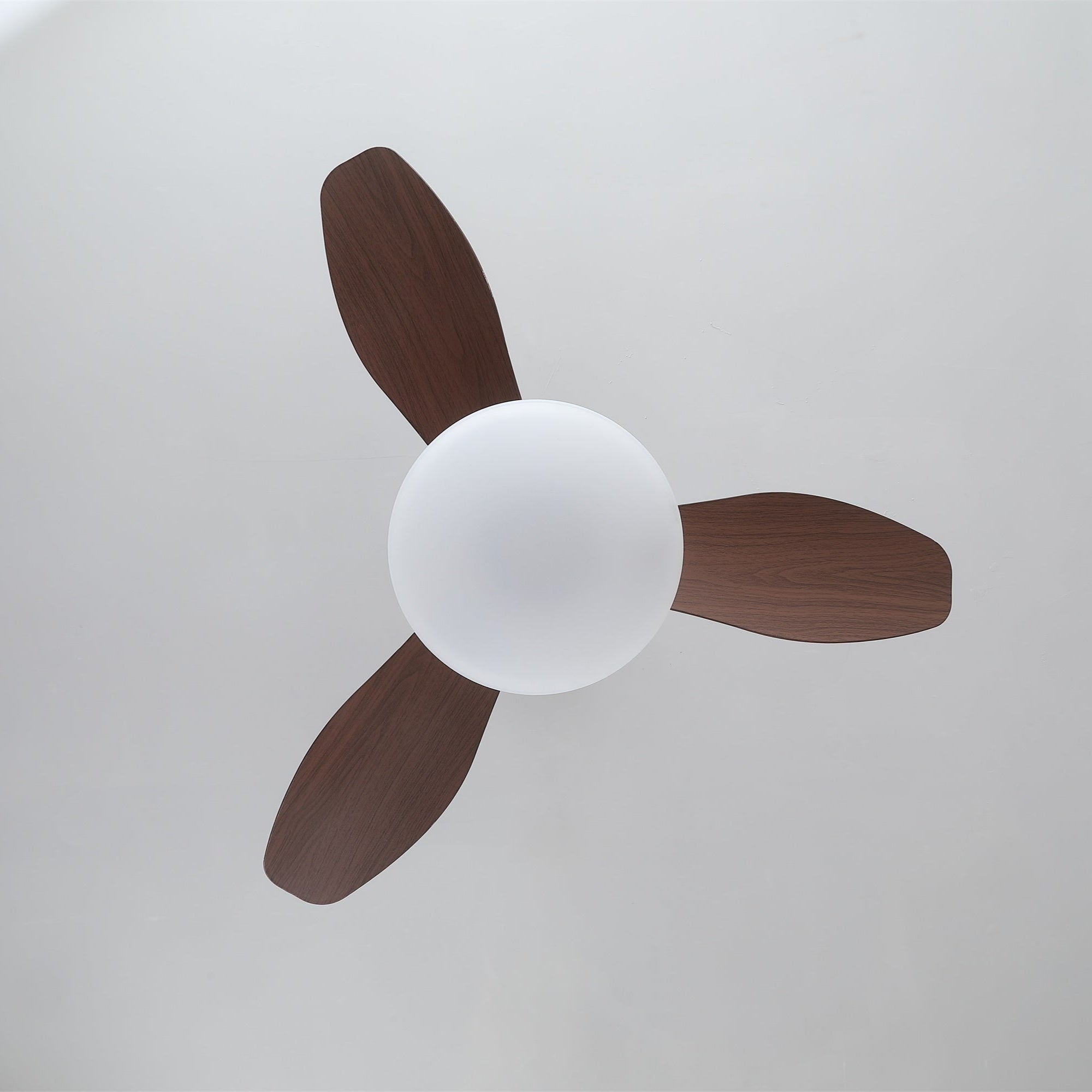 Ventilatore da soffitto Sylvara con luce che evidenzia la sua installazione cablata
