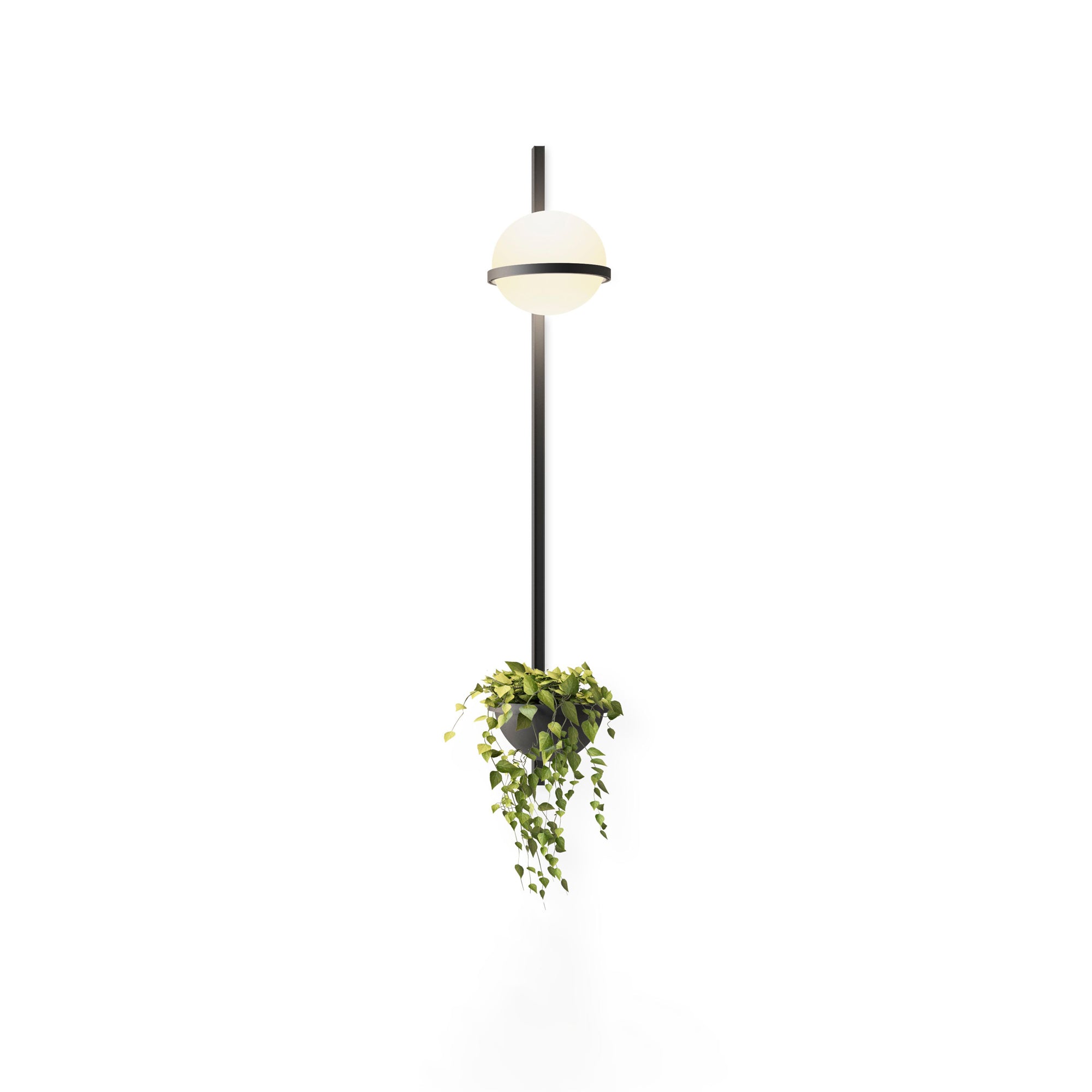 Solstice Wall Light - Blowlighting