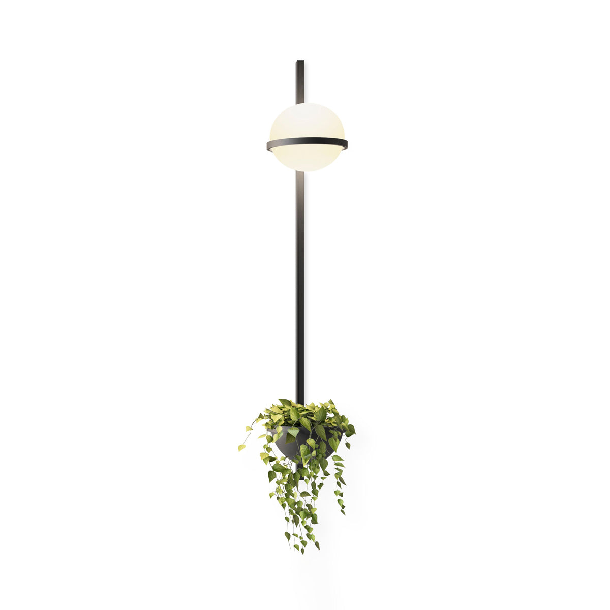 Solstice Wall Light - Blowlighting