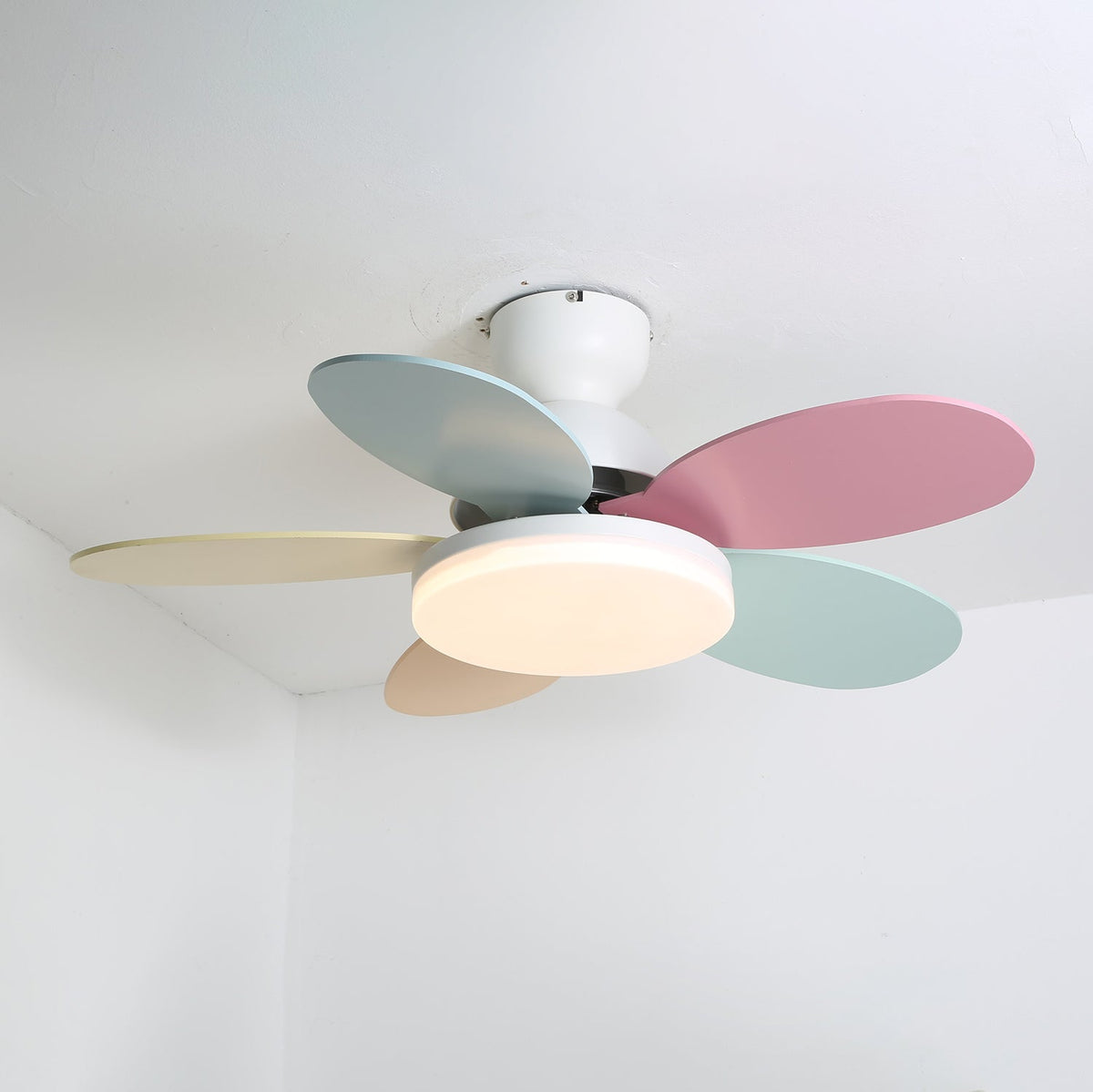 Dettaglio del motore in rame puro e delle pale in legno del ventilatore Liora