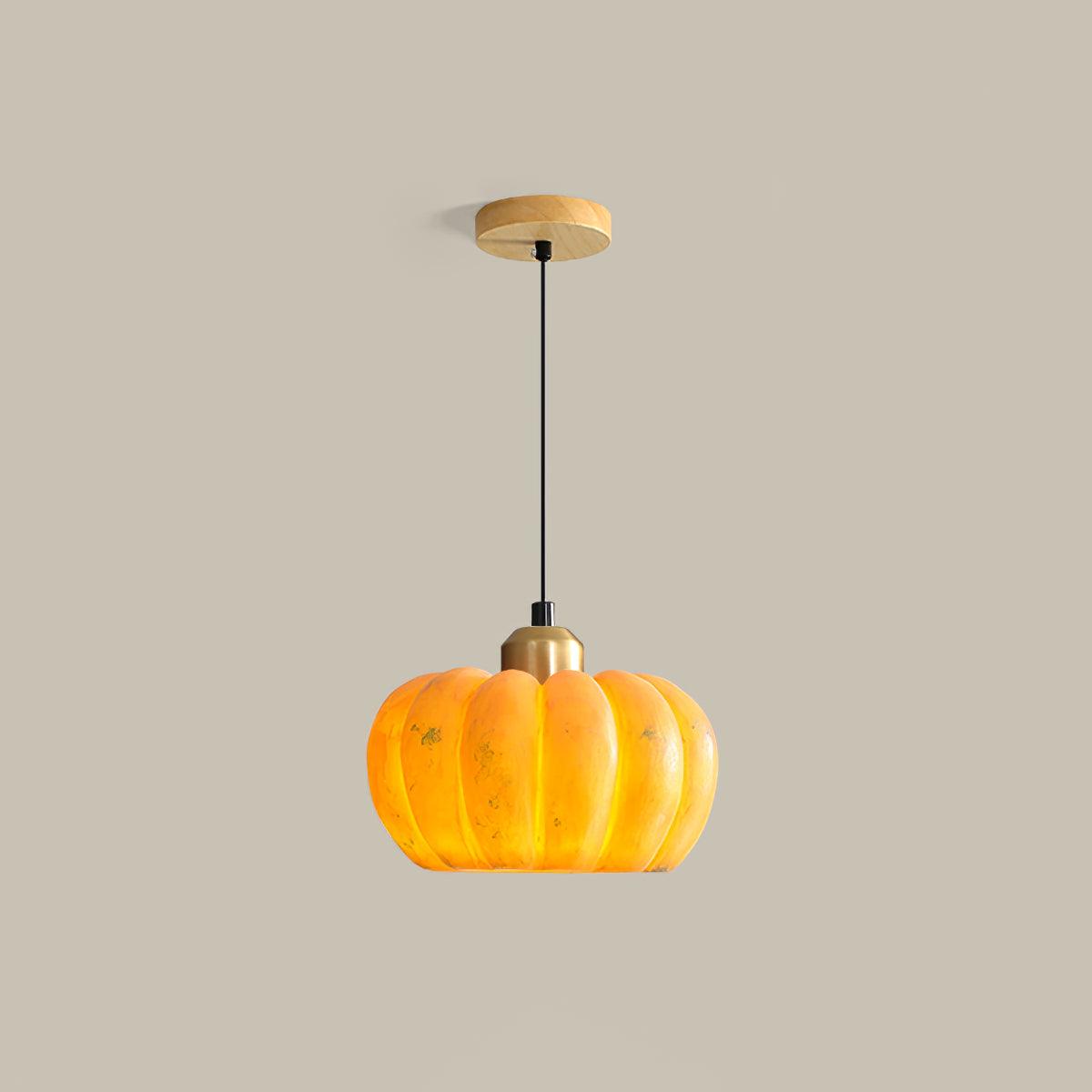 Hudson Modern Metal Pendant Light - Blowlighting