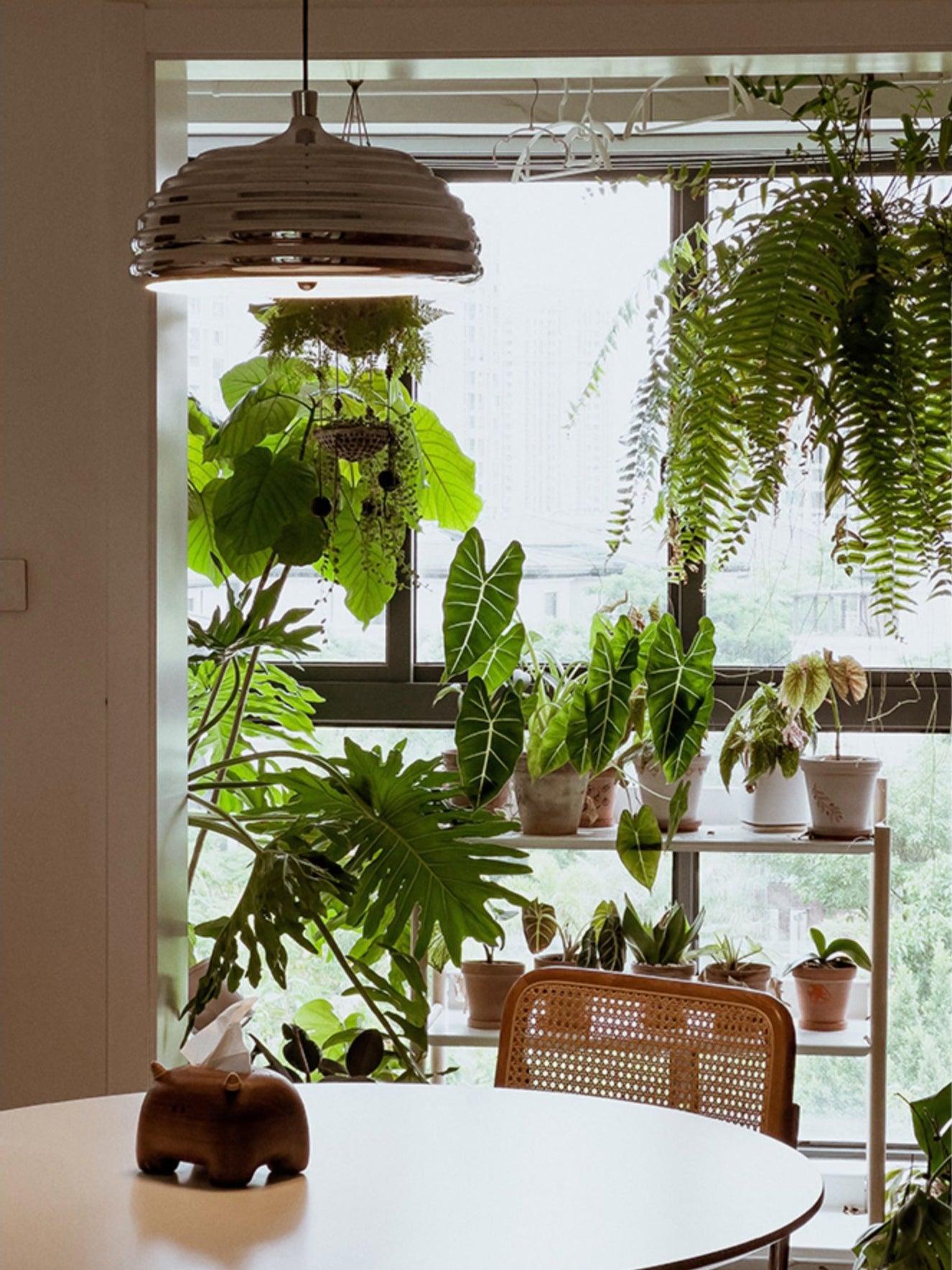 Saturno Chrome Pendant Lamp - Blowlighting