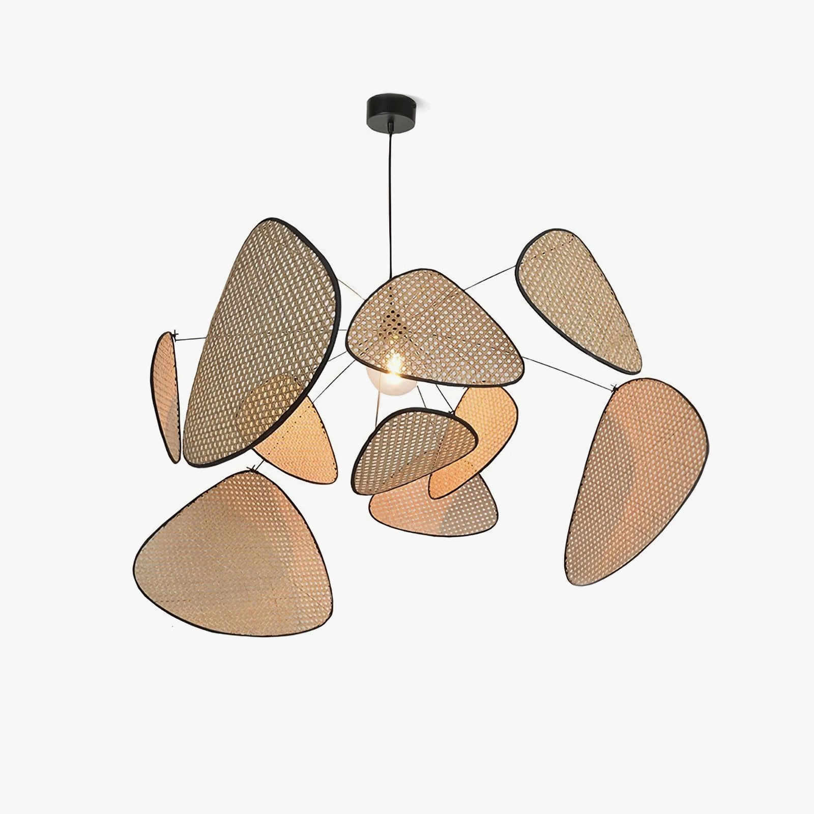 Screen Cannage Suspension - Blowlighting