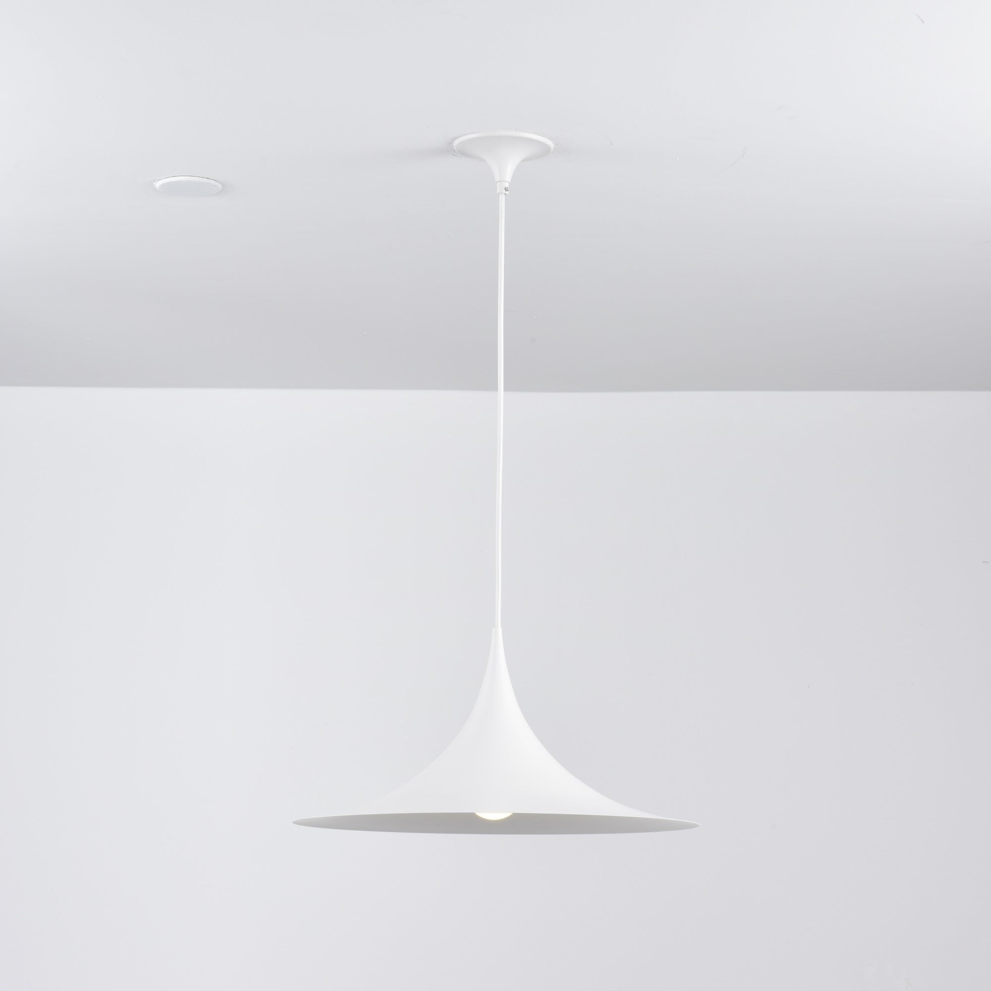 Semi Pendant Light - Blowlighting