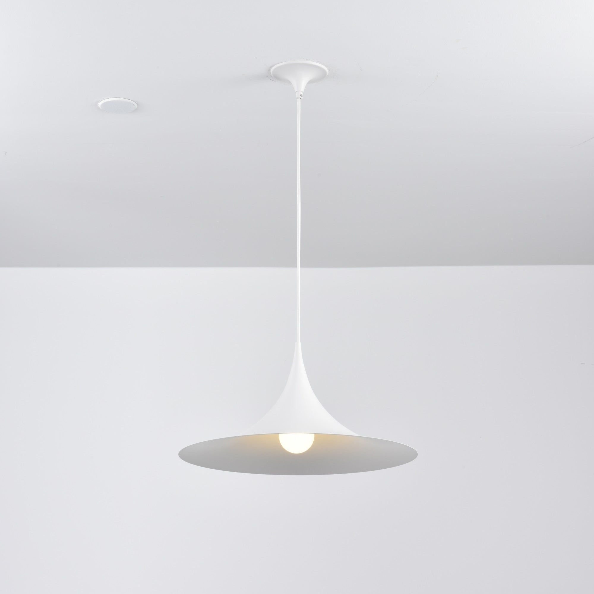 Semi Pendant Light - Blowlighting