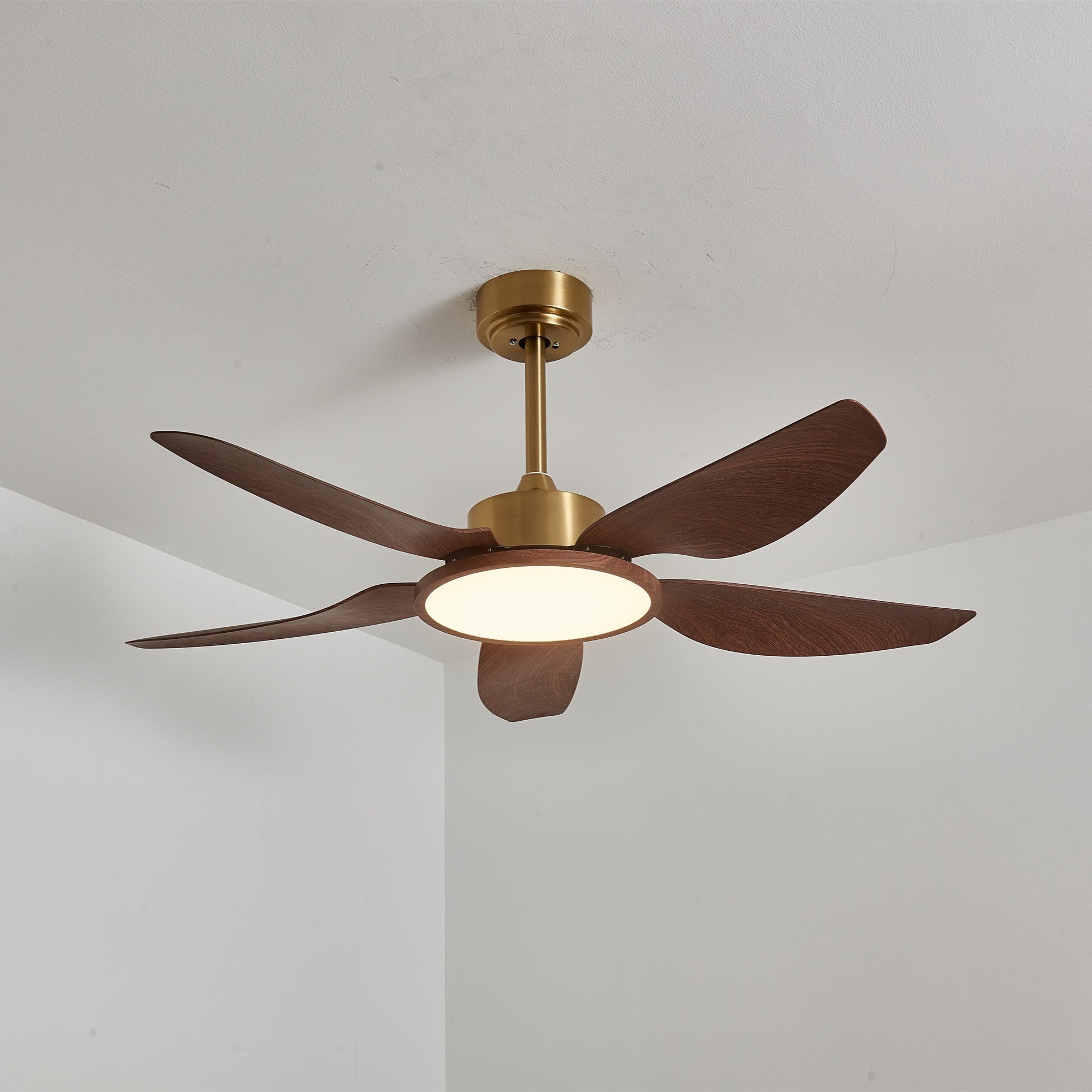 Ventilatore con luce Aurelia, che mostra la sua idoneità per ambienti interni.