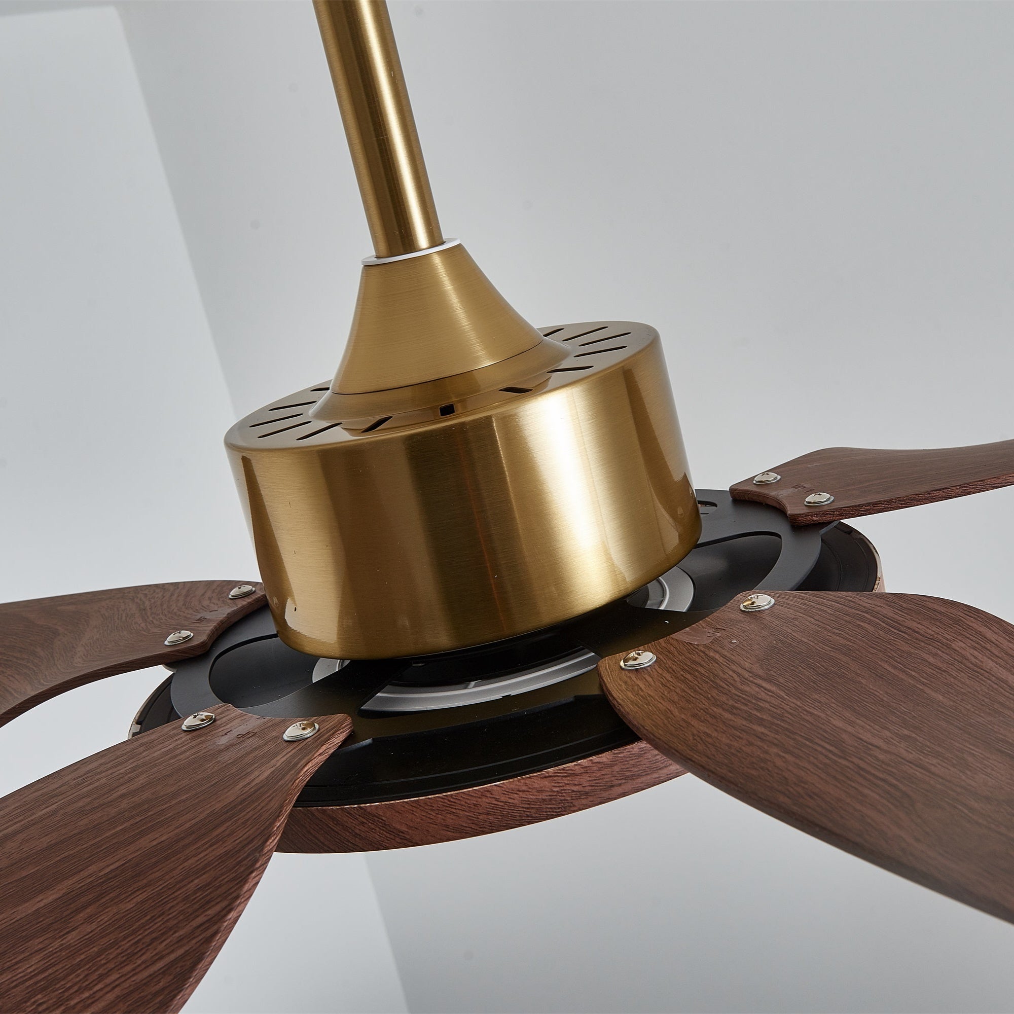 Ventilatore con luce Aurelia, che evidenzia la sua installazione cablata.