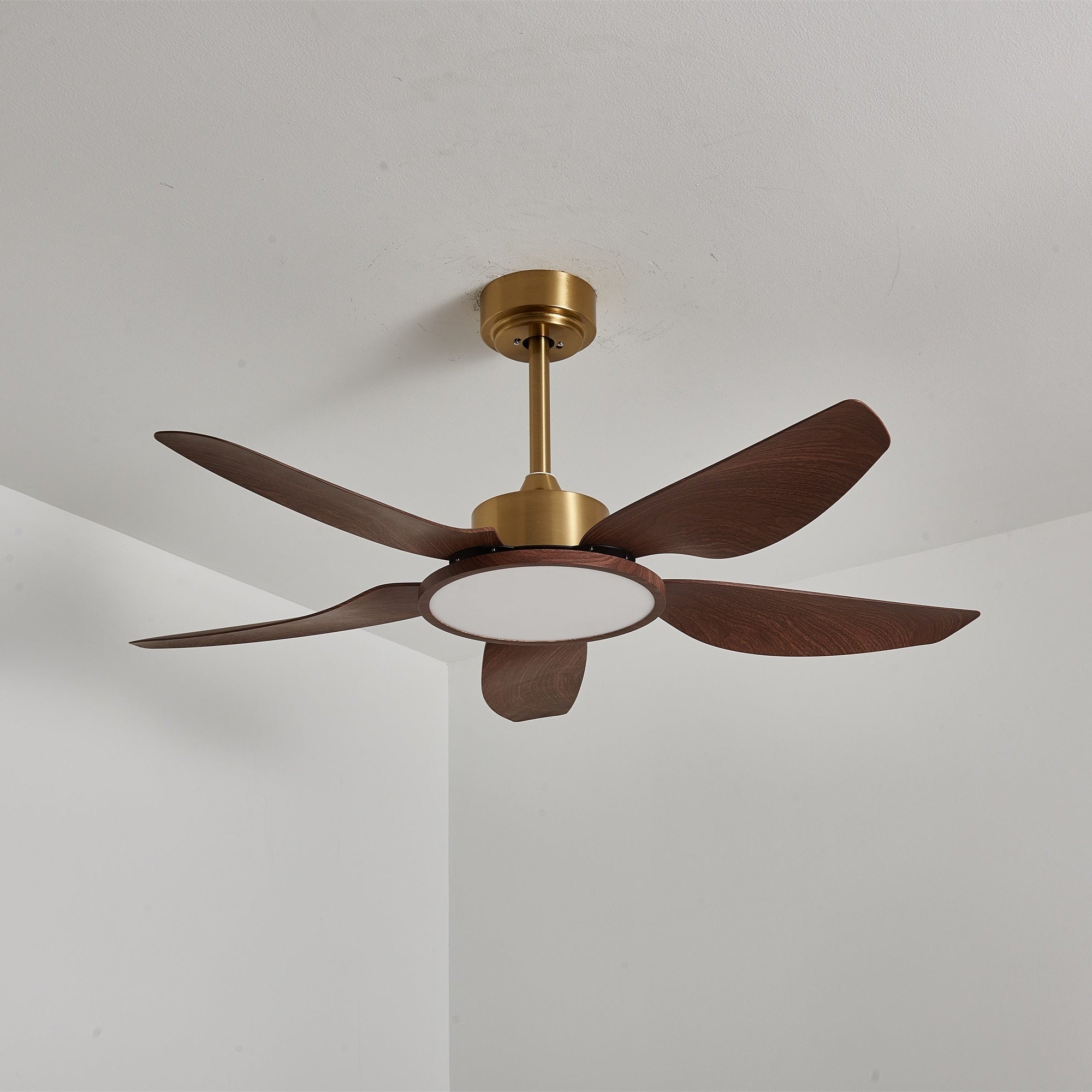 Il ventilatore con luce in un interno domestico contemporaneo.