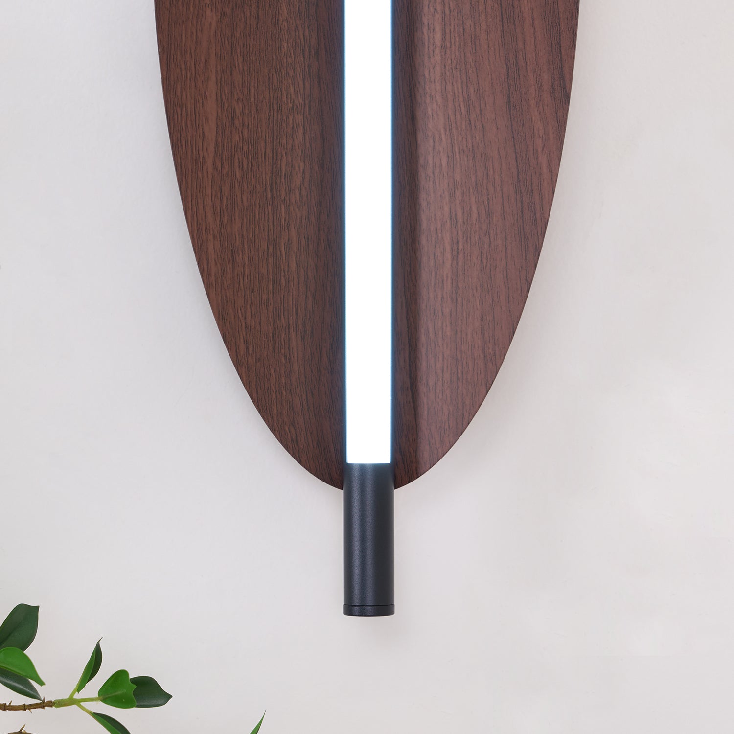Sleek Board Sconce - Blowlighting