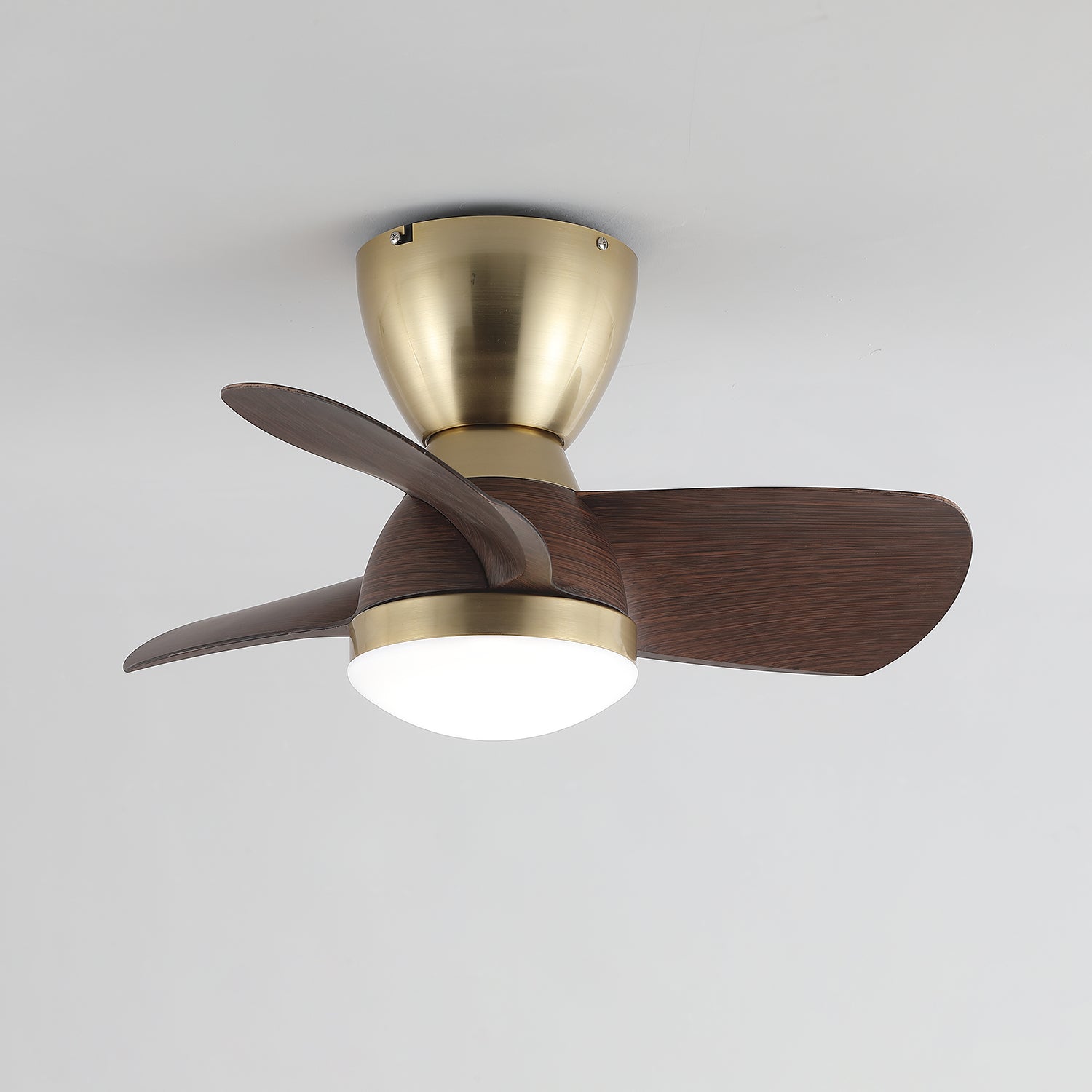 Ventilatore da Soffitto con Luce Elora che evidenzia la sua funzione di controllo a 6 velocità