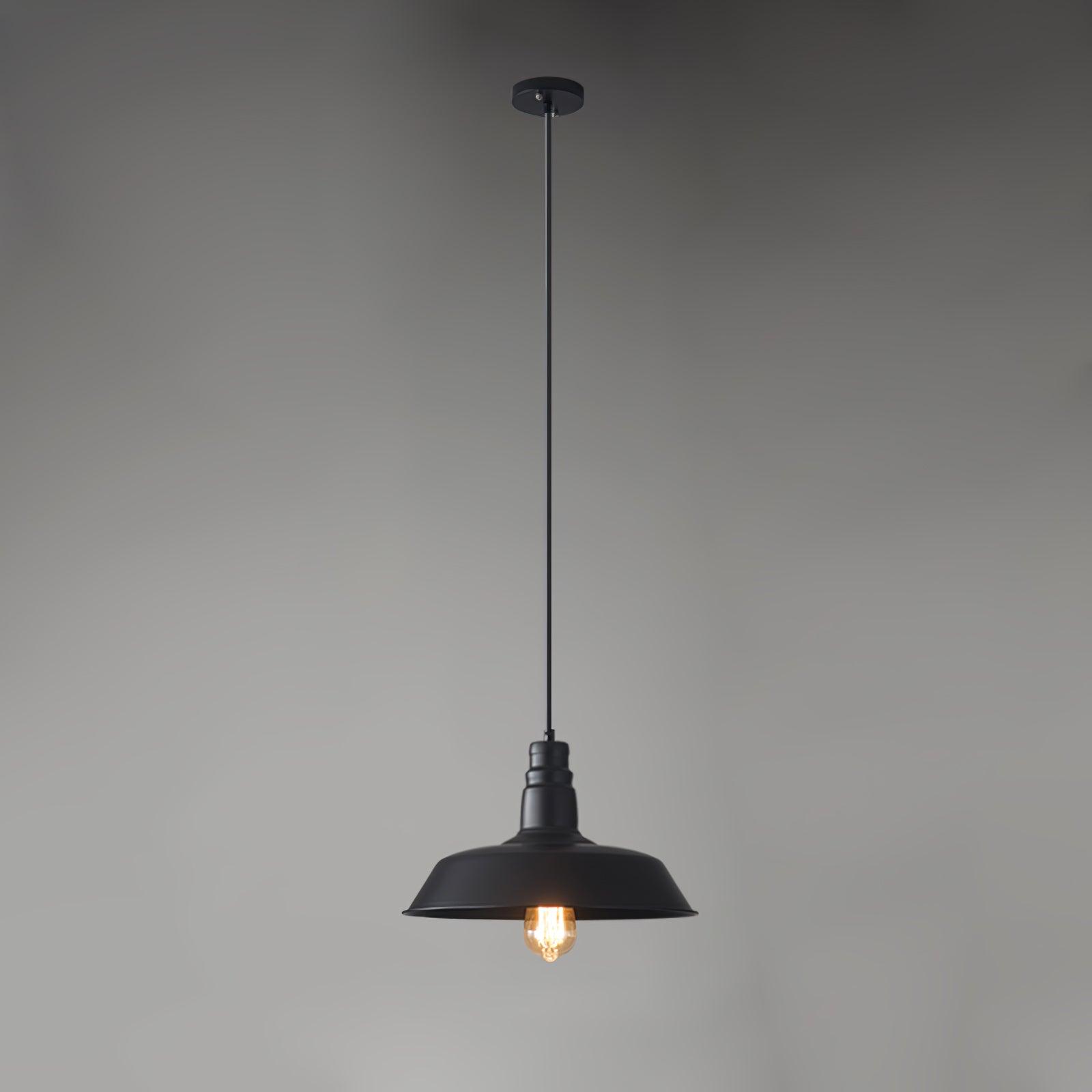 Vintage Industrial Collections Pendant Light - Blowlighting