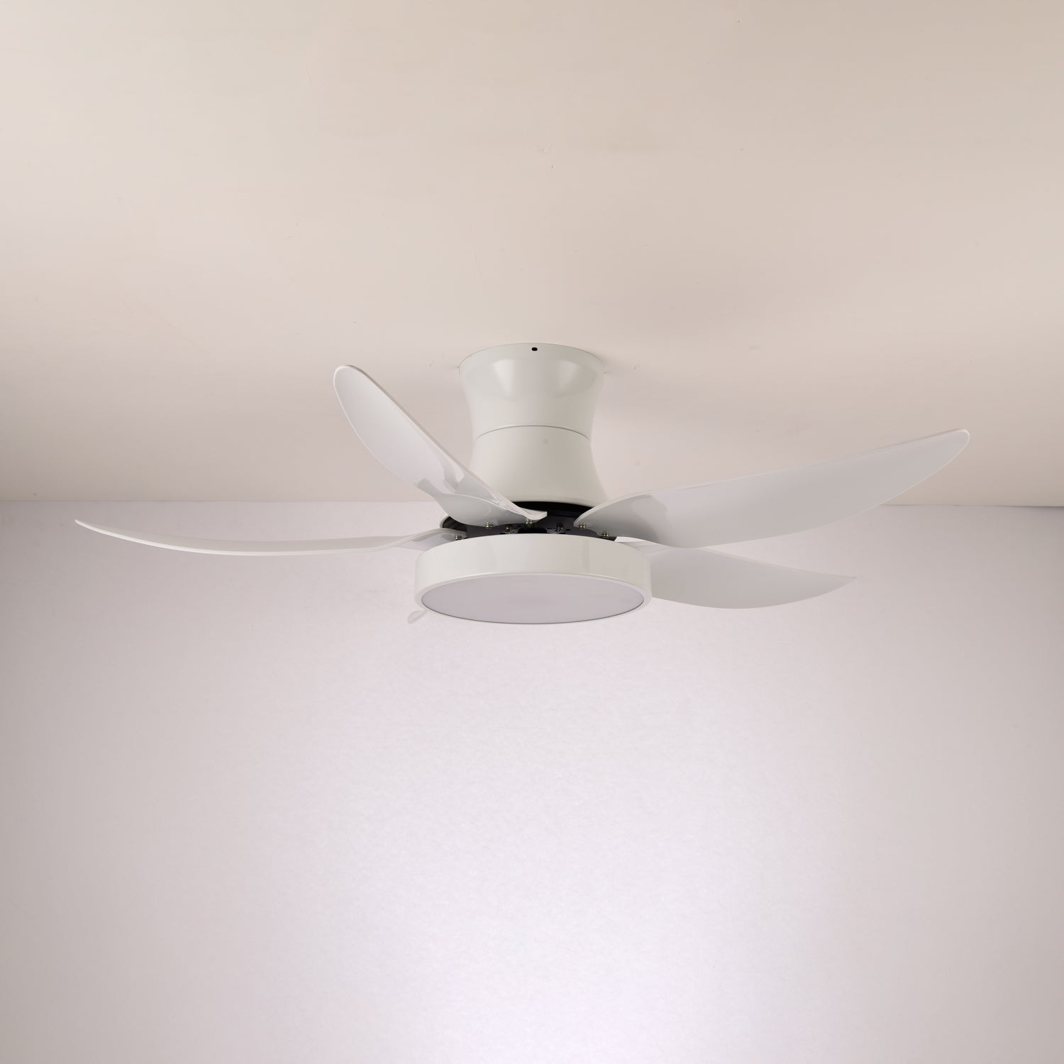 Ventilatore da soffitto Jada Nero con luce che mostra il suo design elegante