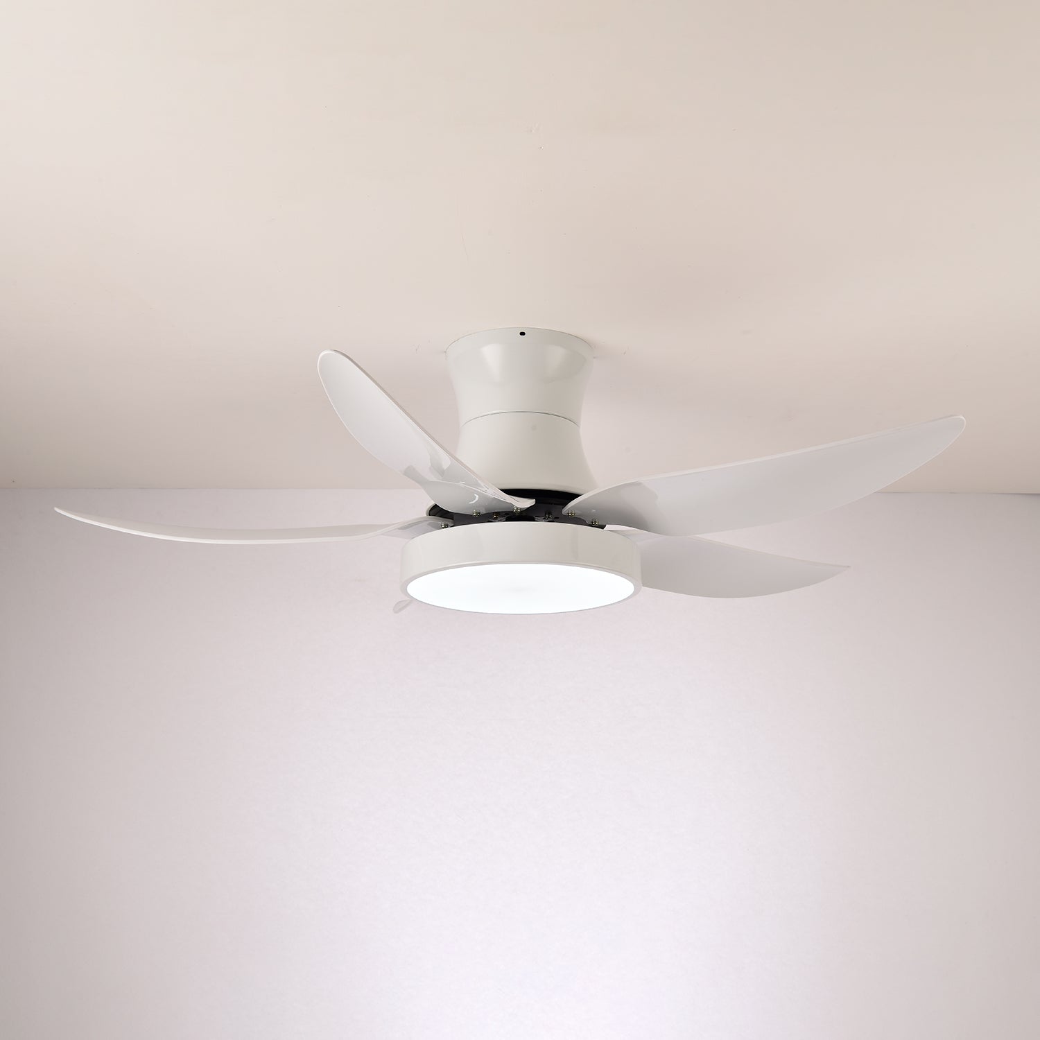 Ventilatore da soffitto con luce Jada Moderno Nero